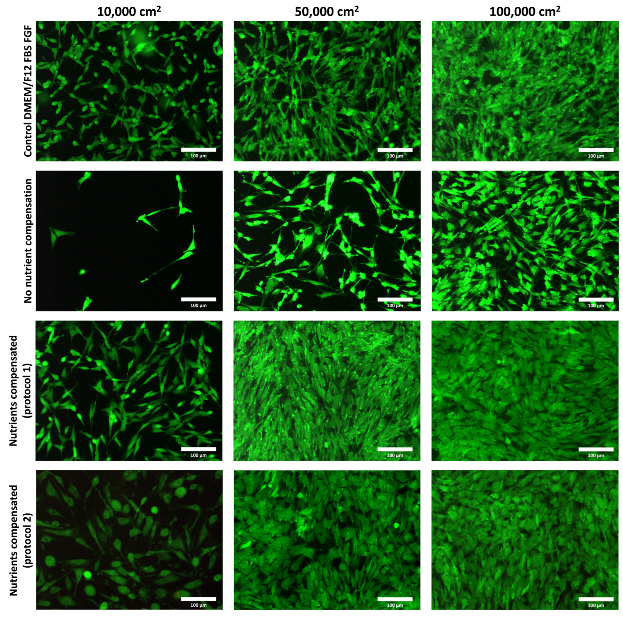 Gels 10 00066 g001 Gels 10 00066 g001
