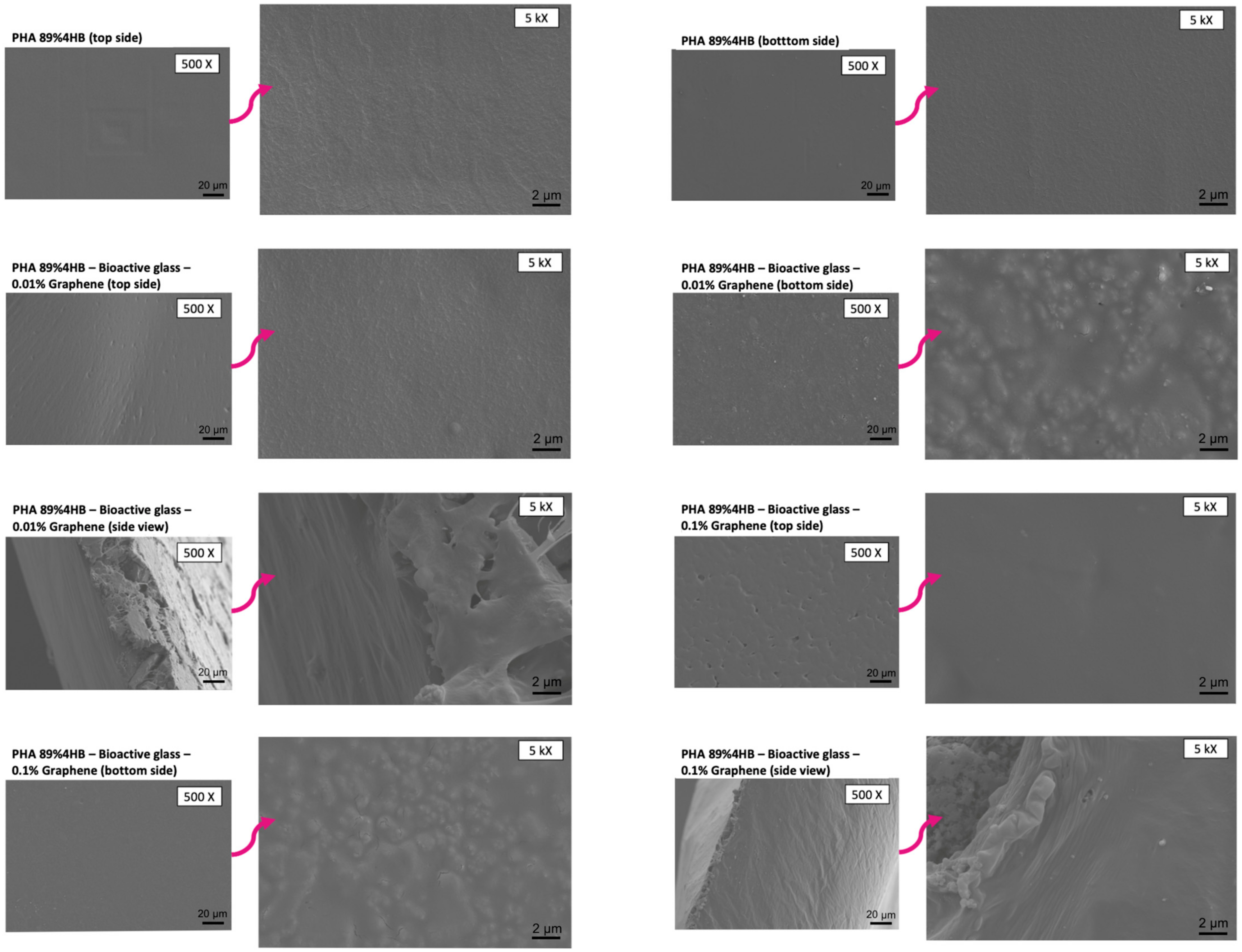 Gels 10 00085 g008 Gels 10 00085 g008