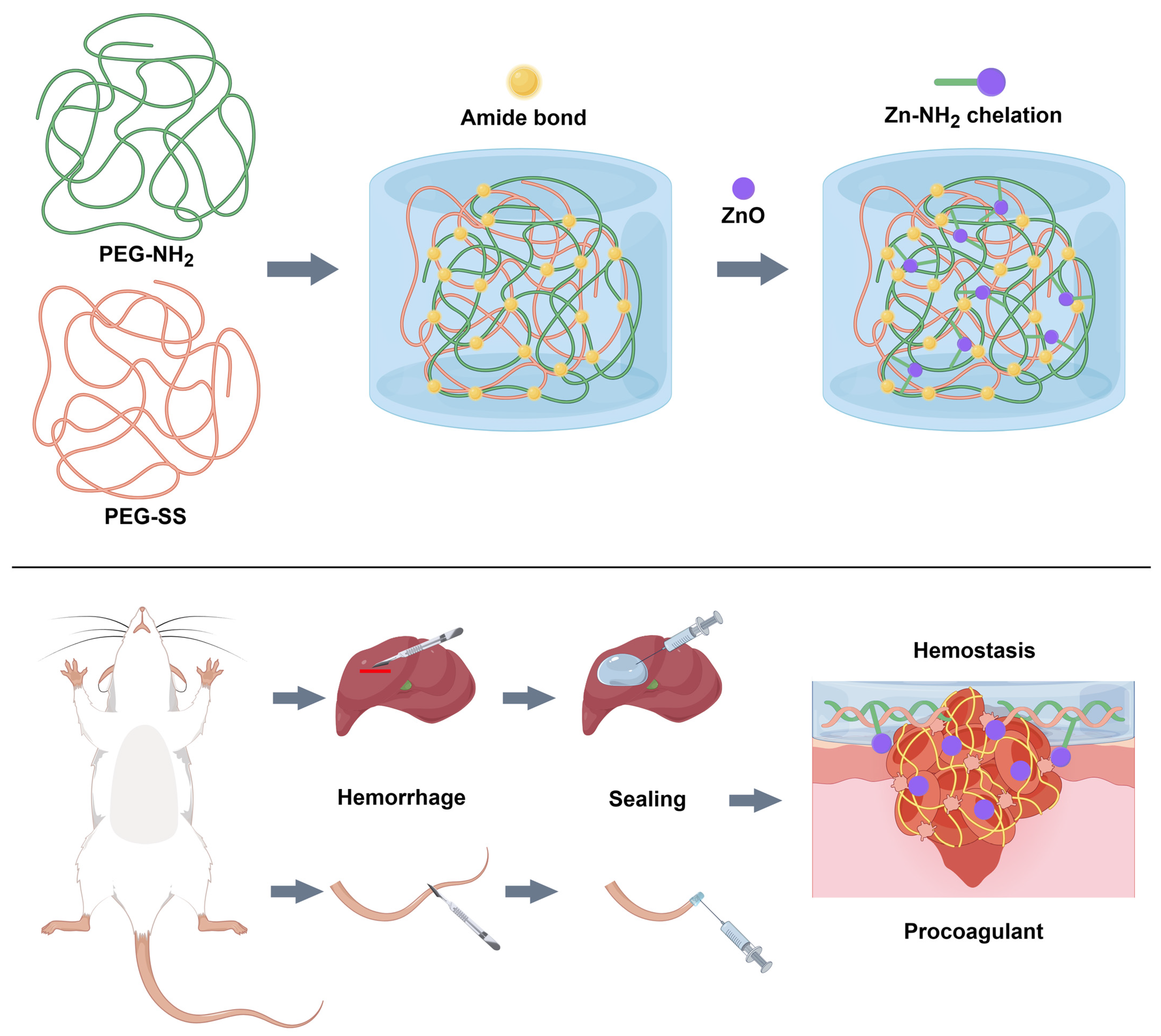 Gels 10 00088 sch001