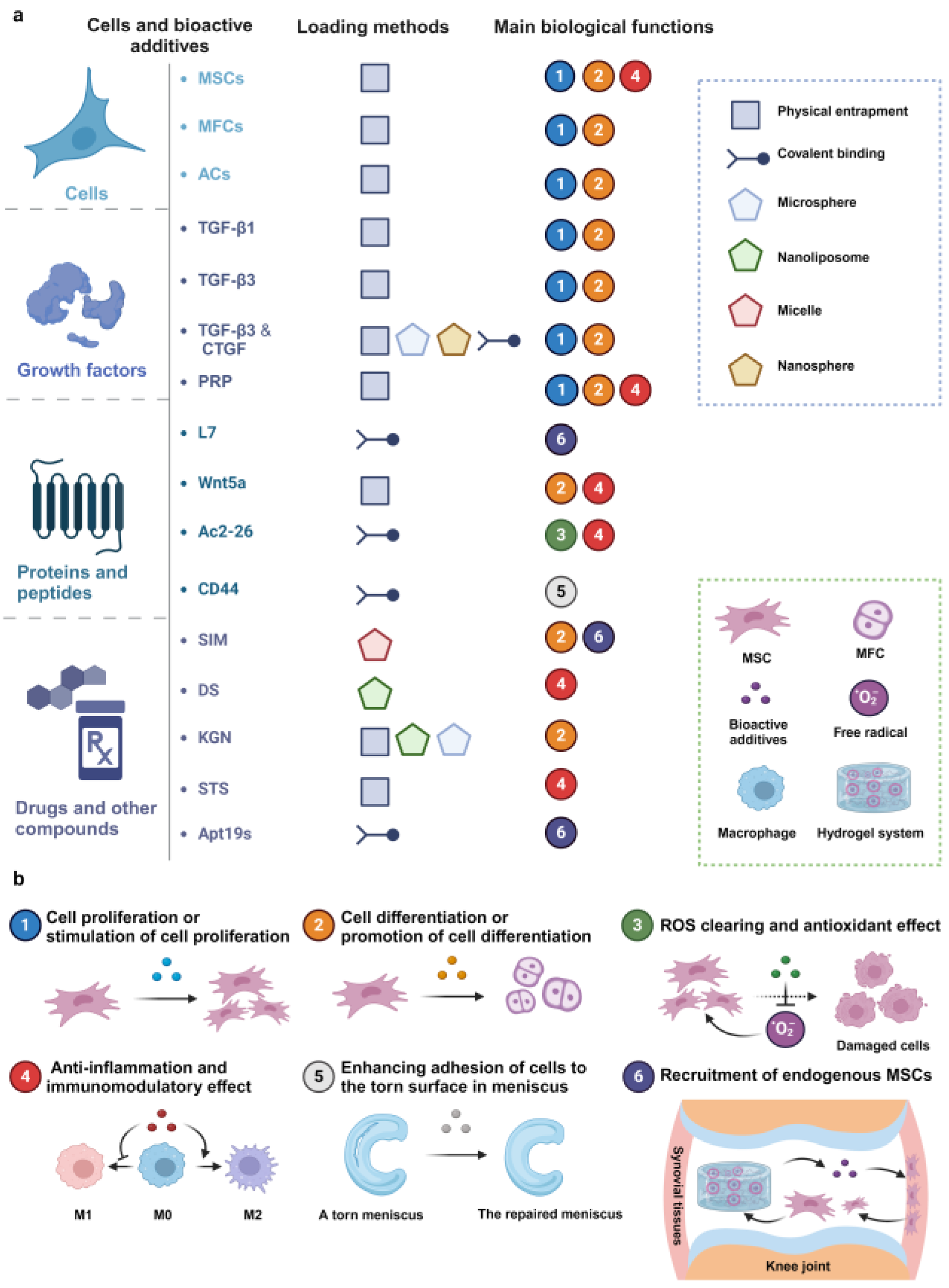 Gels 10 00114 g005 Gels 10 00114 g005