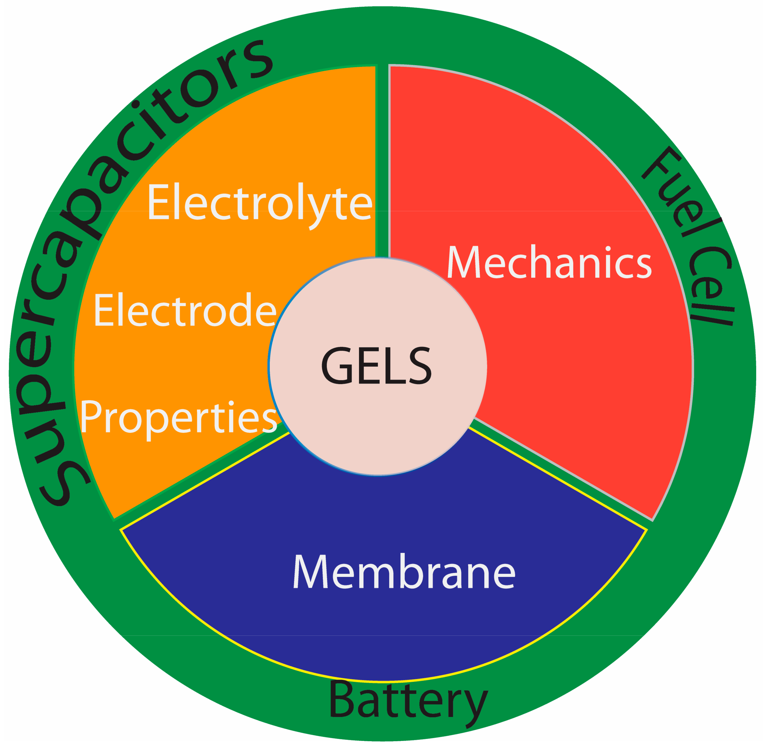 Gels 10 00122 sch001