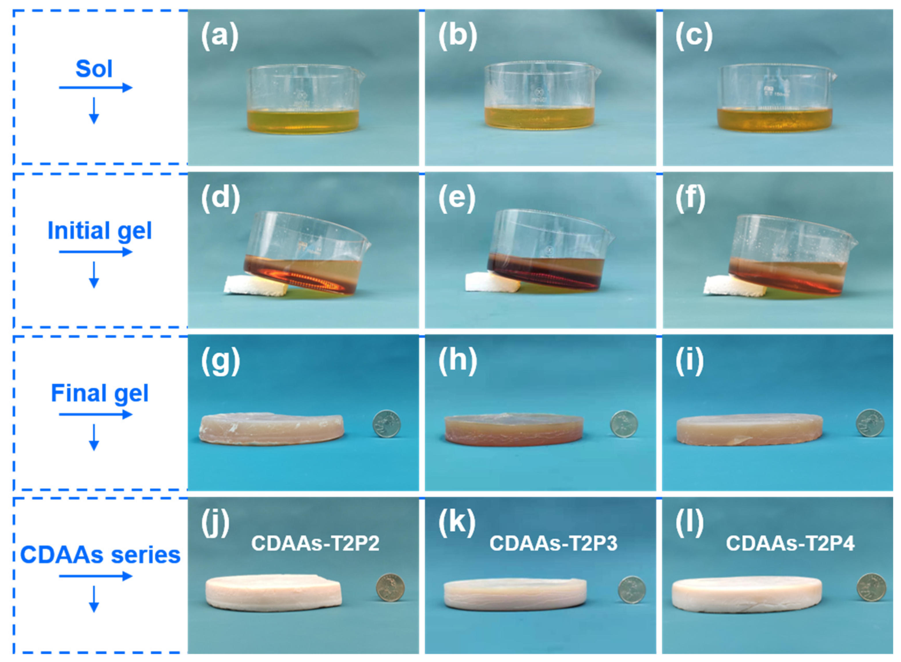 Gels 10 00210 g001 Gels 10 00210 g001