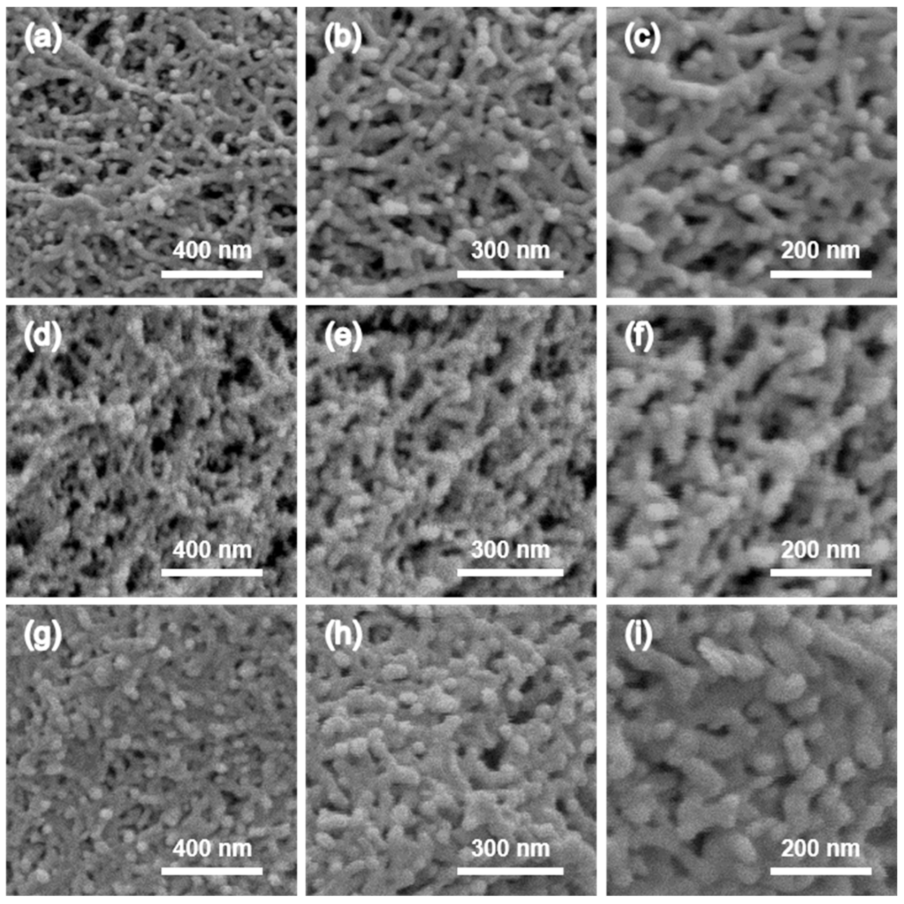Gels 10 00210 g003 Gels 10 00210 g003