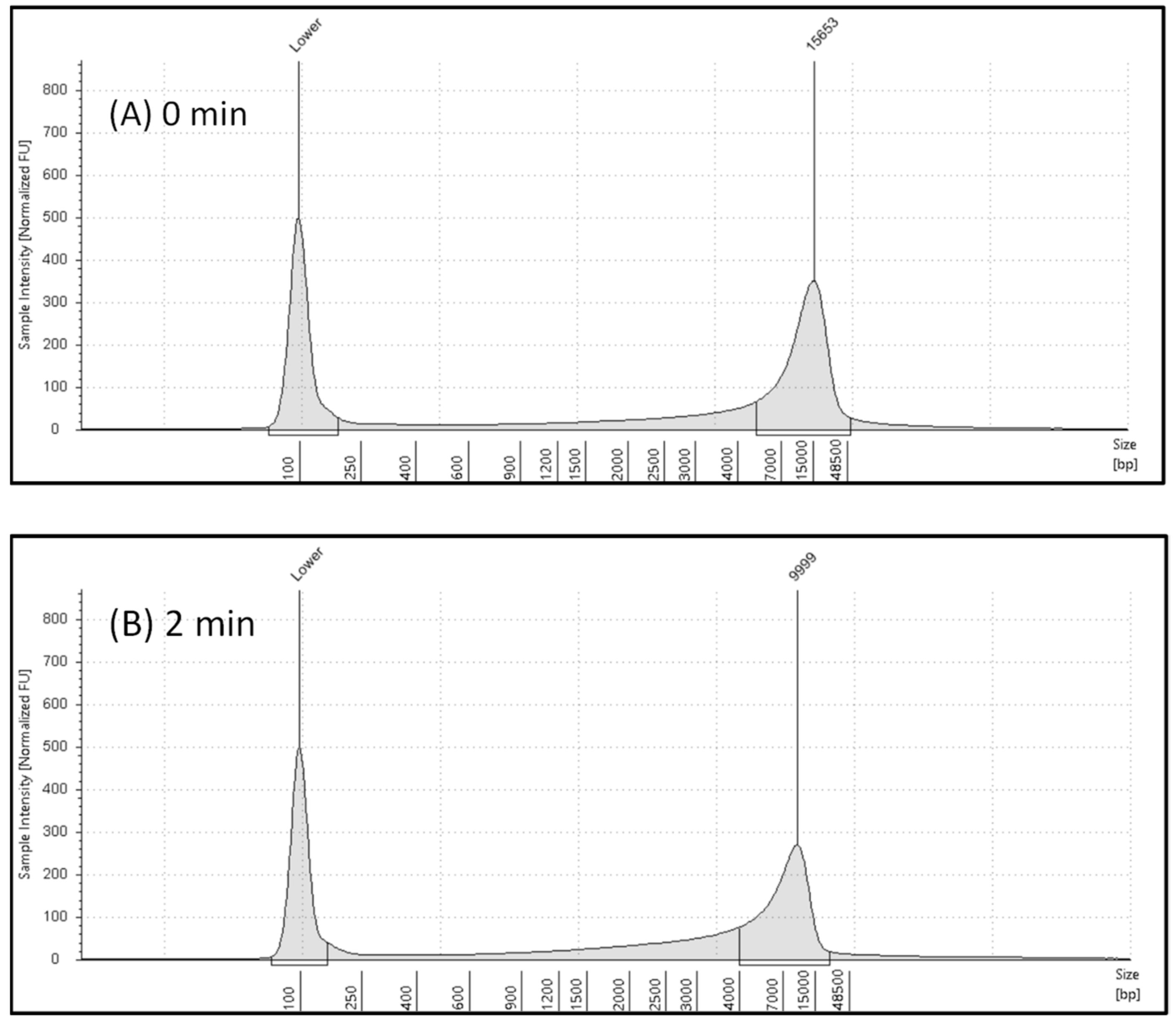 Gels 10 00242 g002 Gels 10 00242 g002