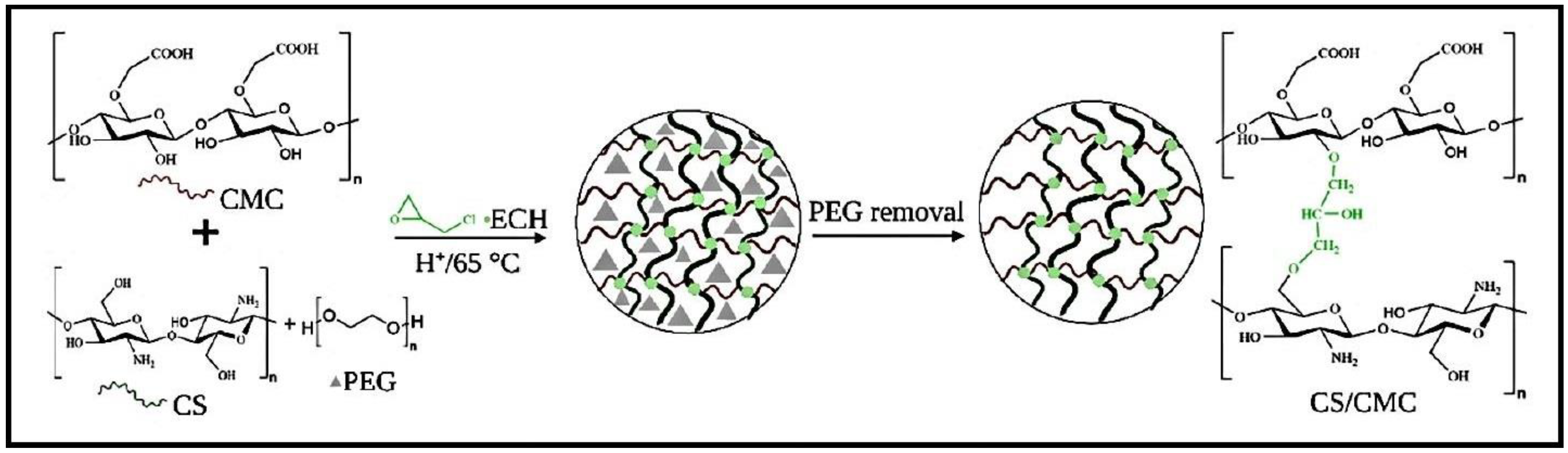 Gels 10 00243 g007 Gels 10 00243 g007