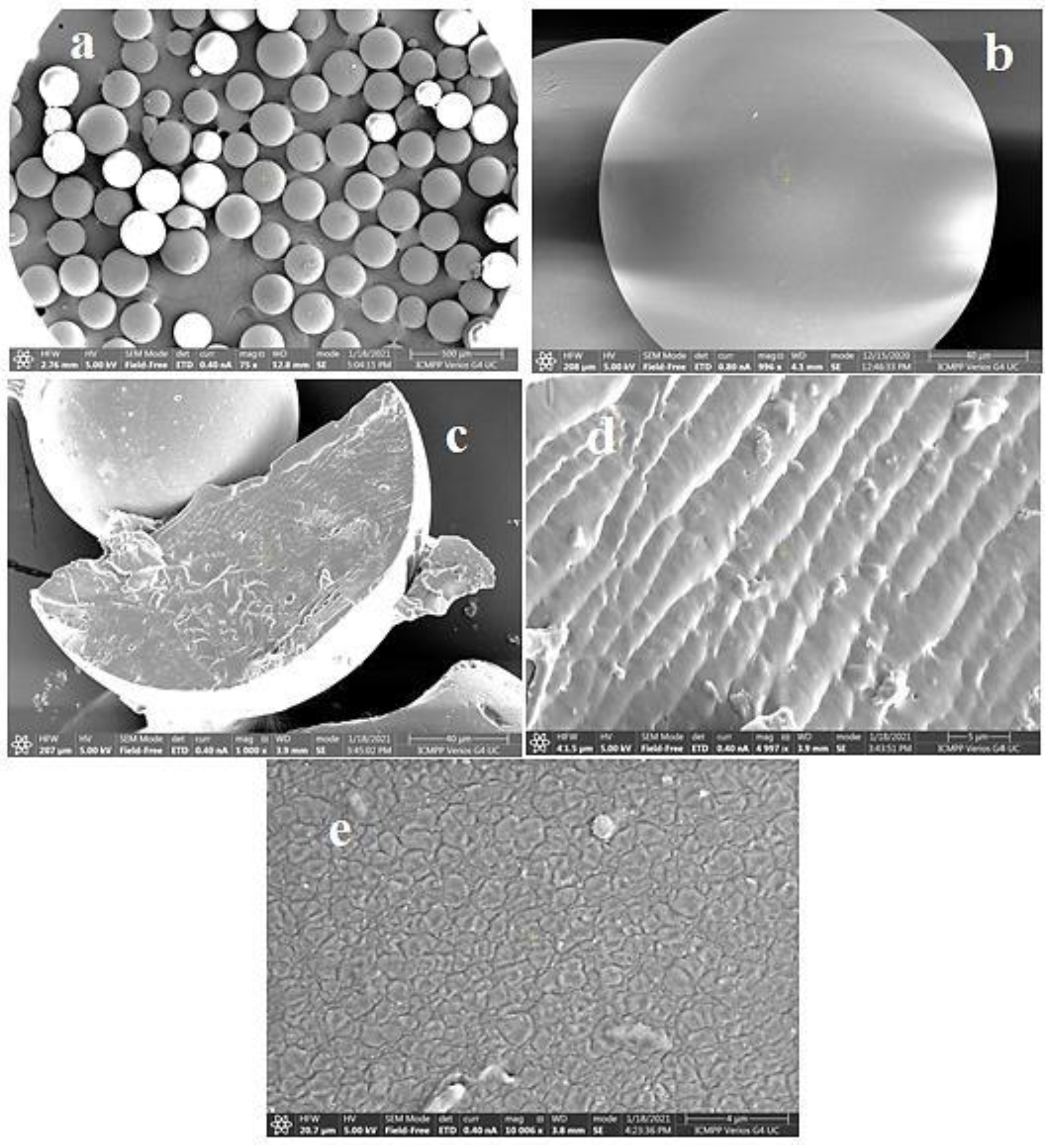 Gels 10 00243 g013 Gels 10 00243 g013