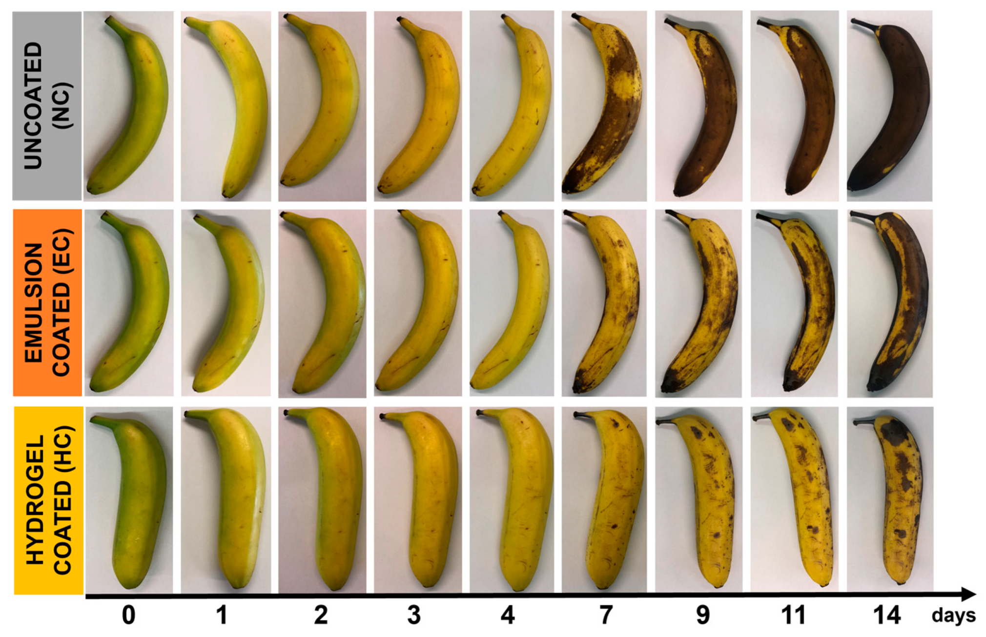 Gels 10 00245 g003 Gels 10 00245 g003