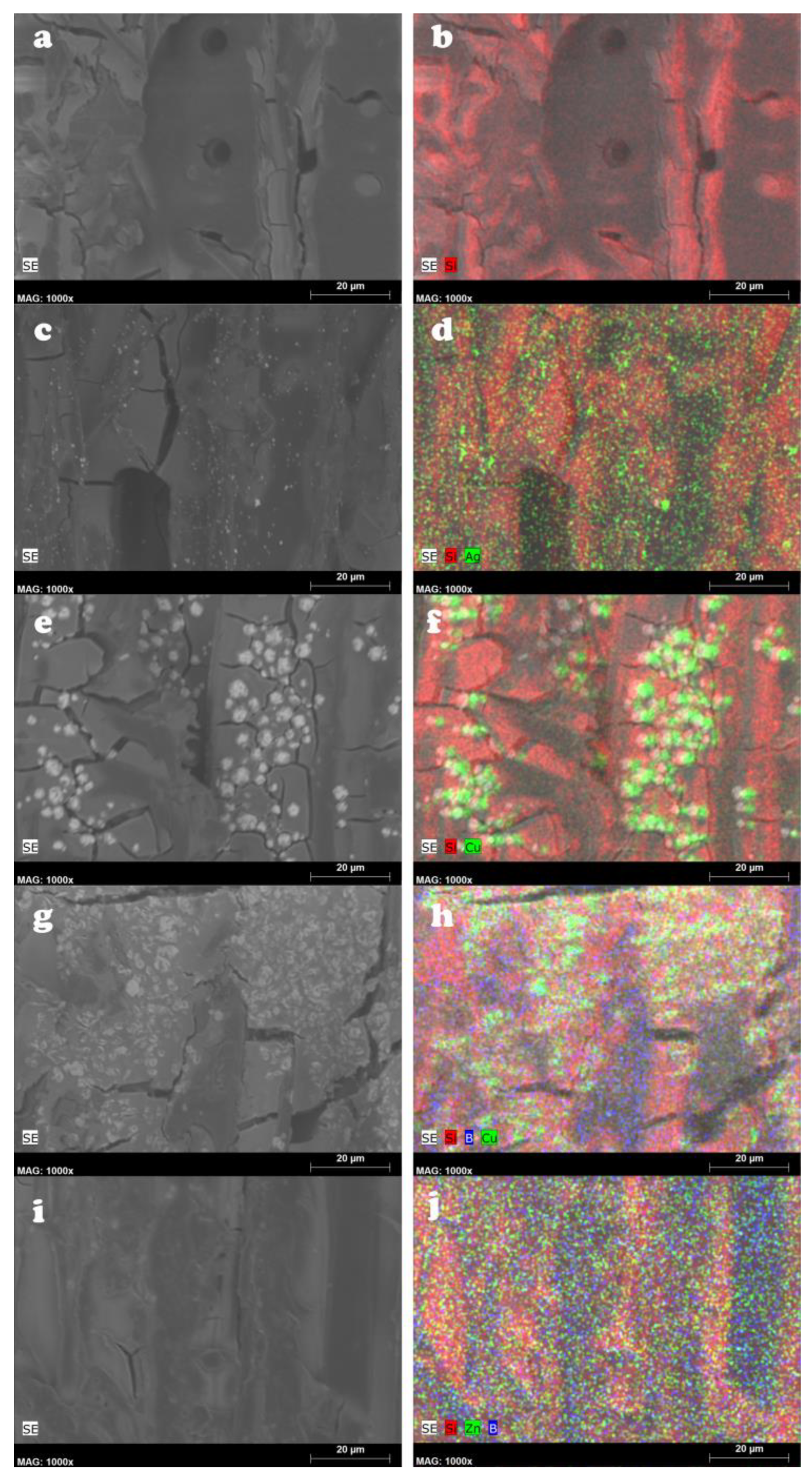 Gels 10 00255 g002