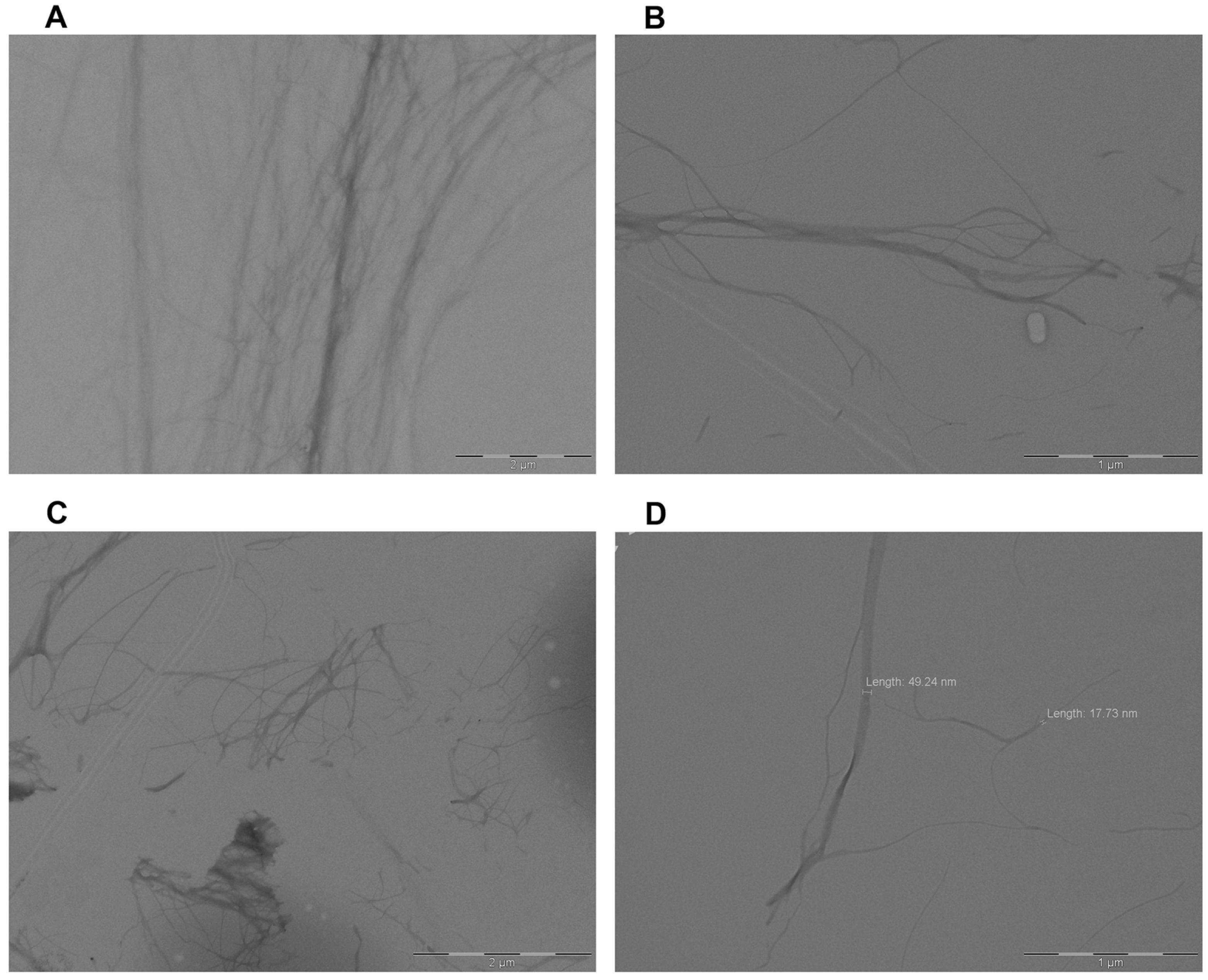 Gels 10 00263 g002