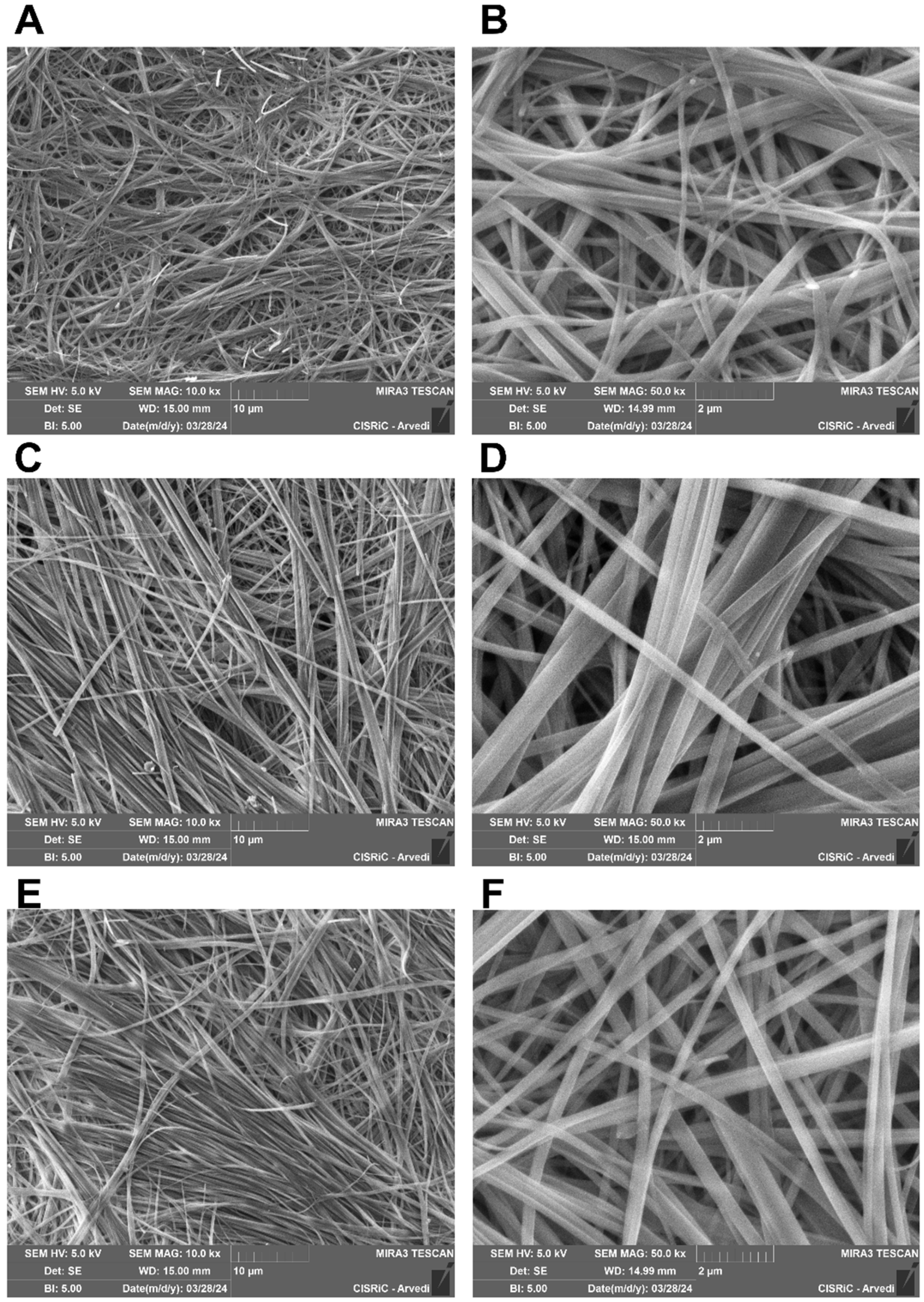 Gels 10 00263 g003