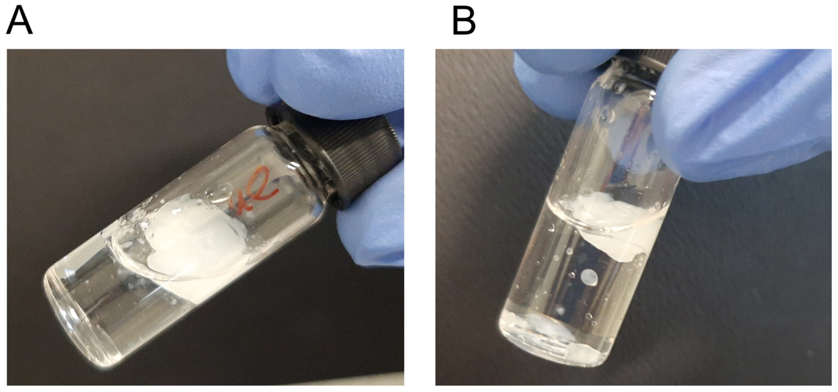 Gels 10 00263 g007