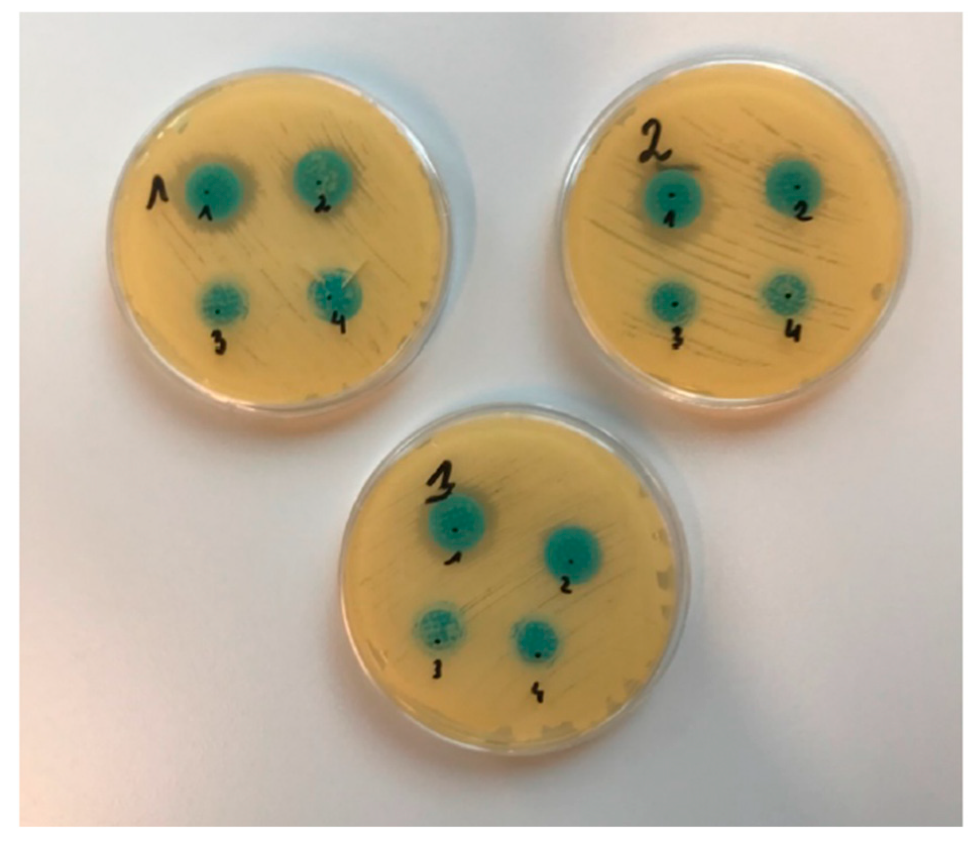 Gels 10 00264 g011