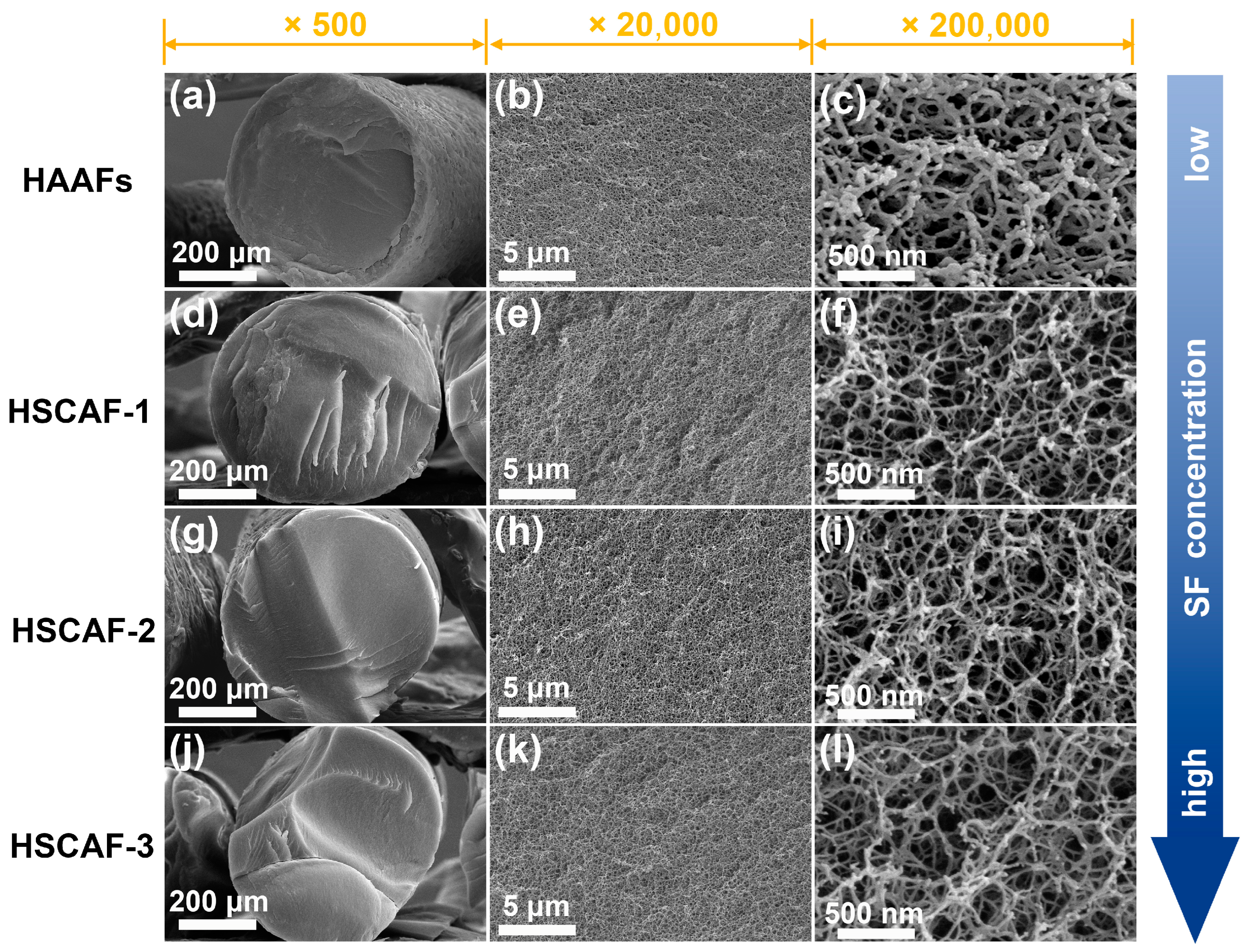 Gels 10 00266 g002