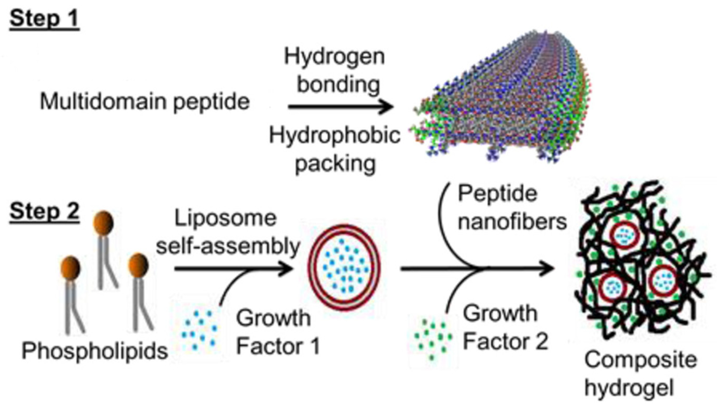 Gels 10 00284 g002 Gels 10 00284 g002