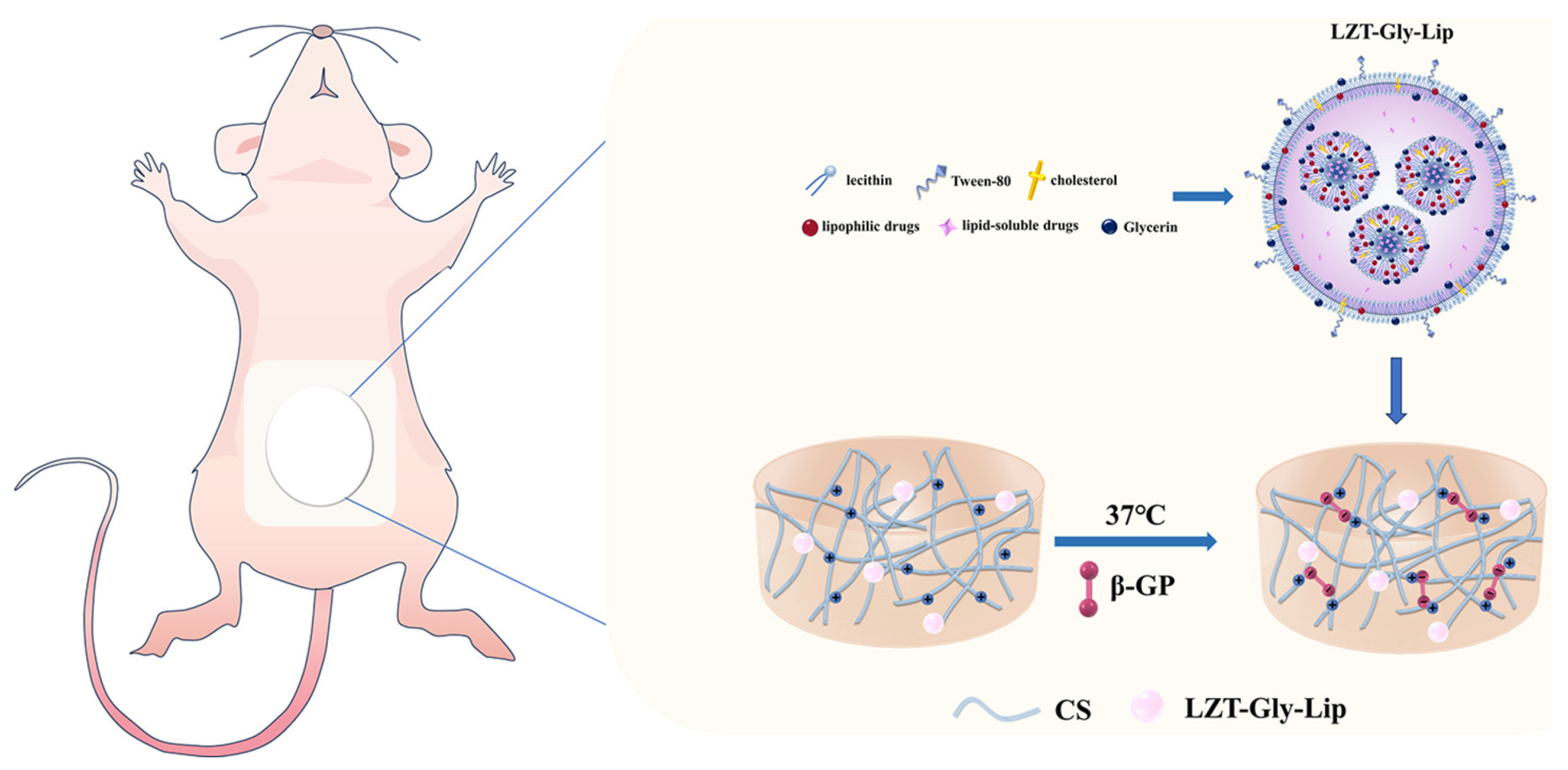 Gels 10 00284 g003 Gels 10 00284 g003