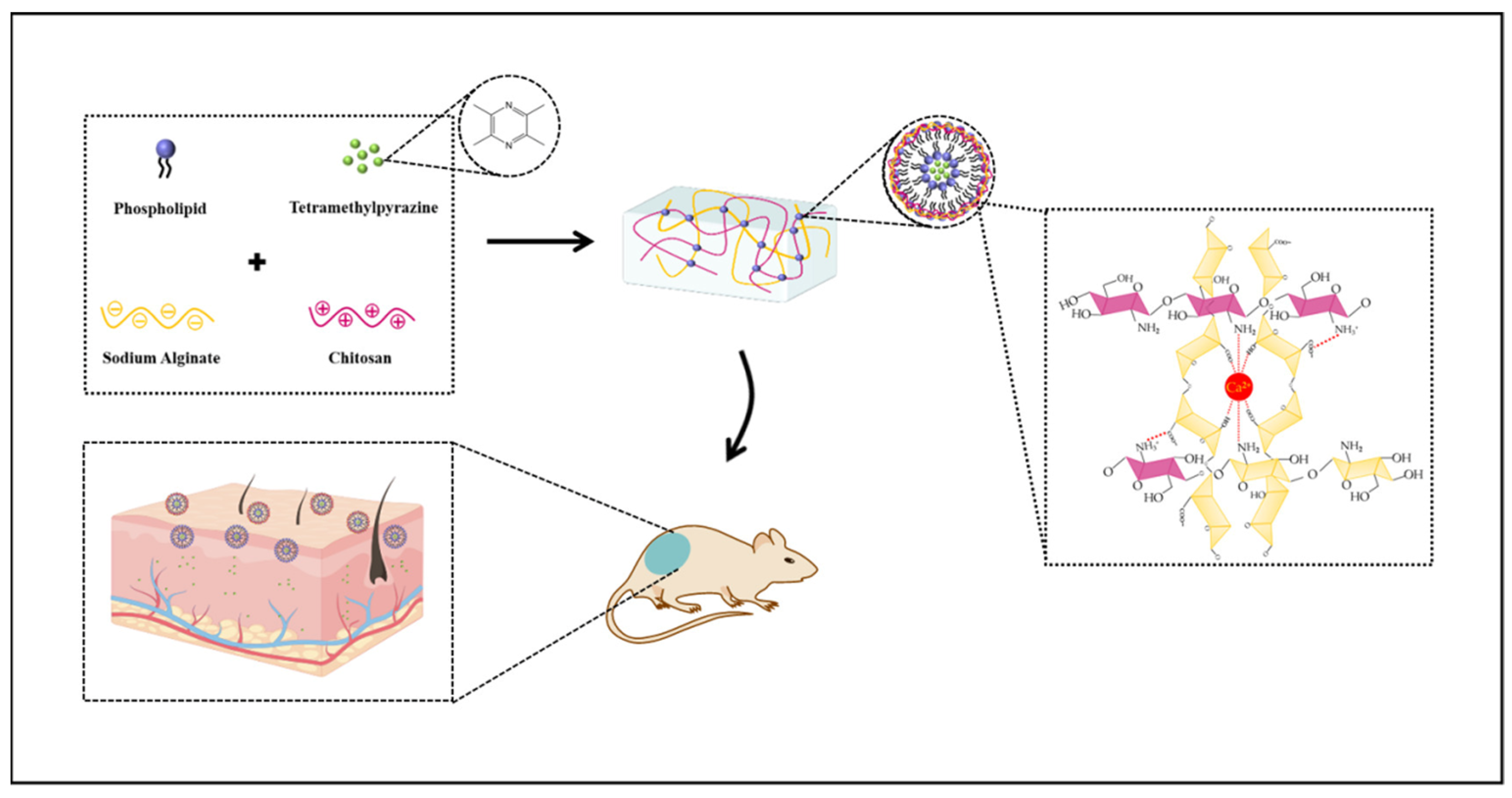 Gels 10 00284 g004 Gels 10 00284 g004
