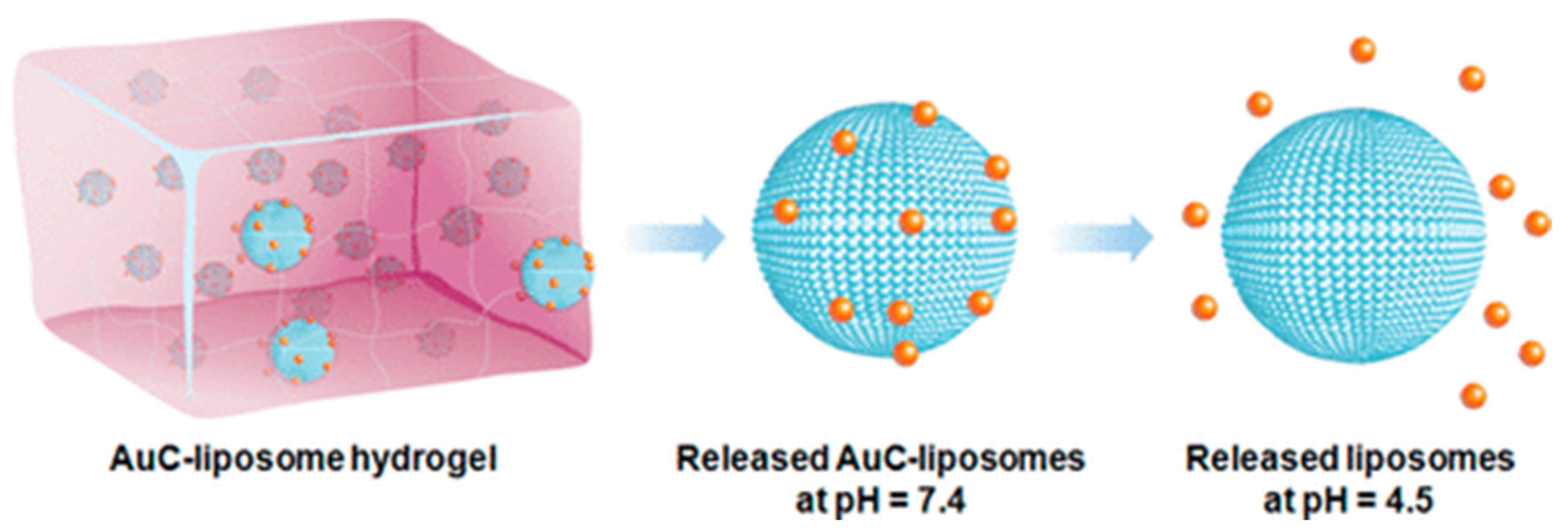 Gels 10 00284 g008 Gels 10 00284 g008