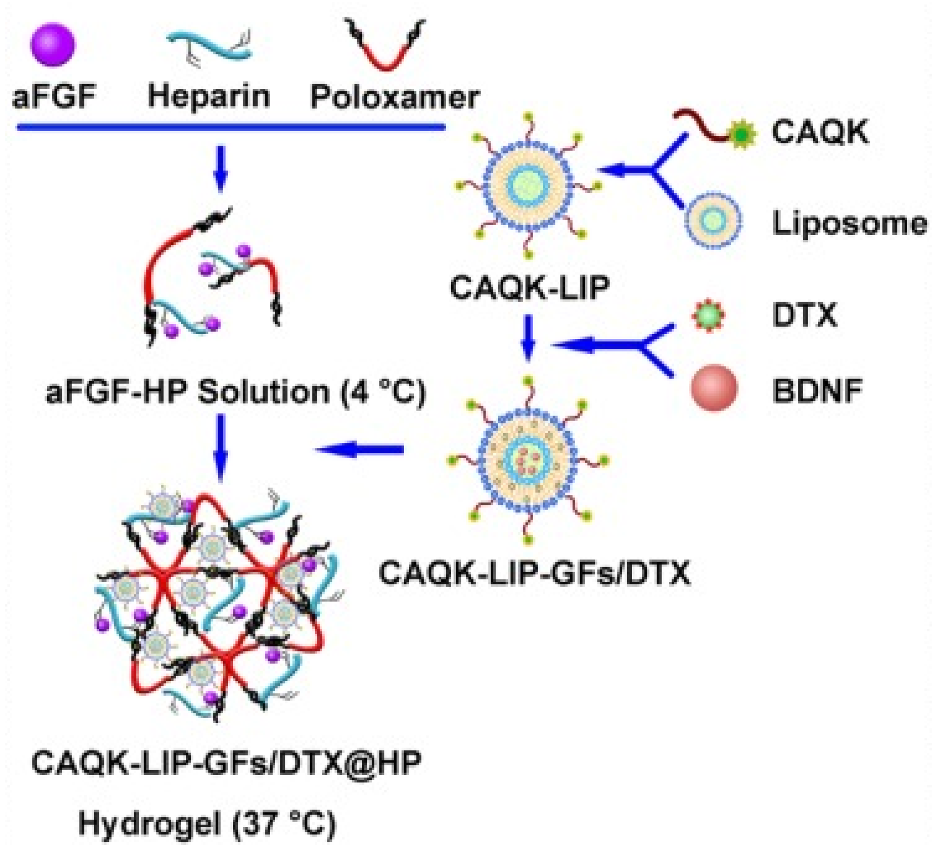 Gels 10 00284 g009 Gels 10 00284 g009