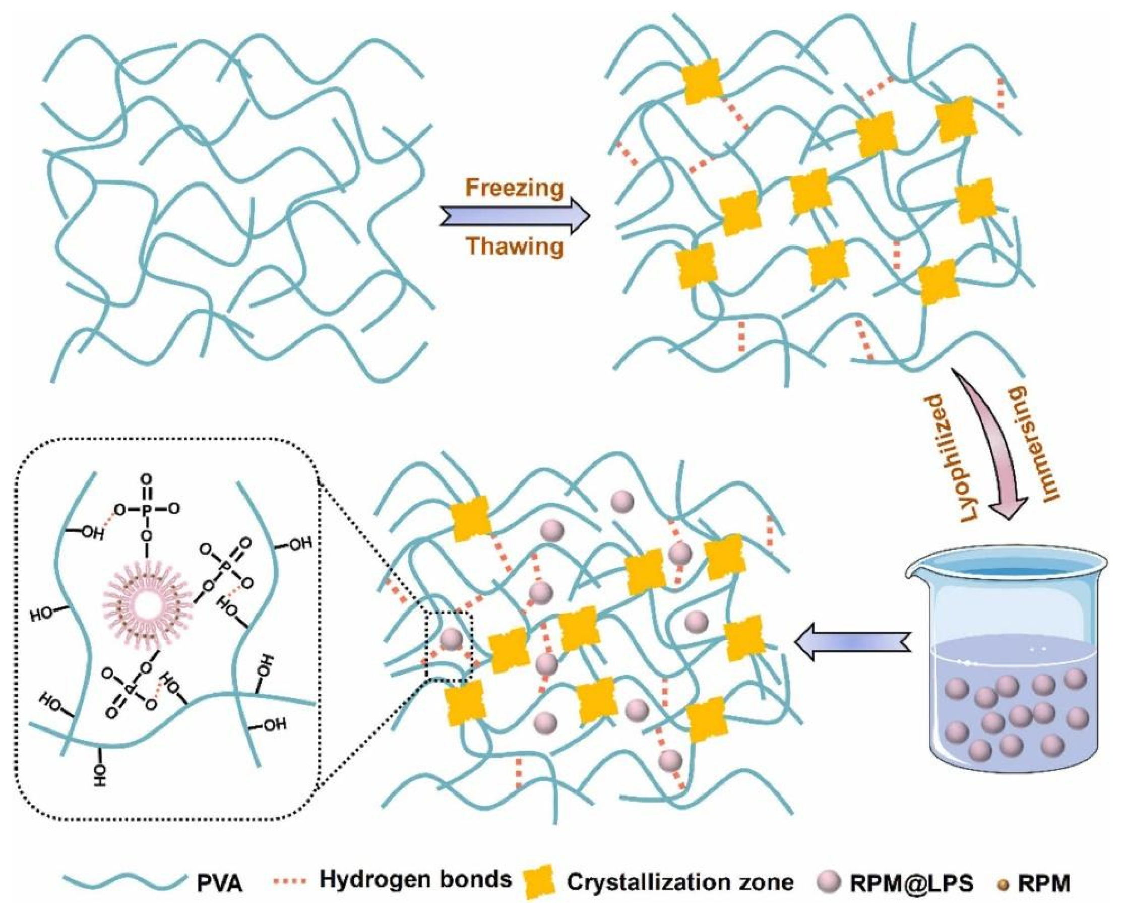 Gels 10 00284 g010 Gels 10 00284 g010