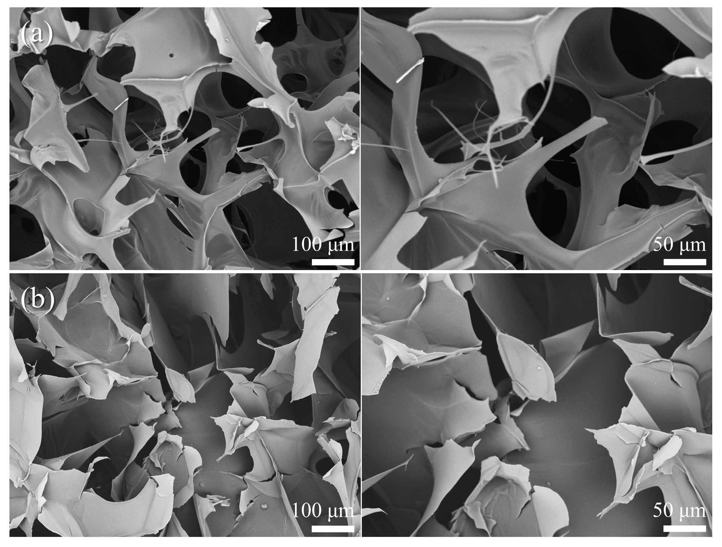 Gels 10 00285 g003 Gels 10 00285 g003