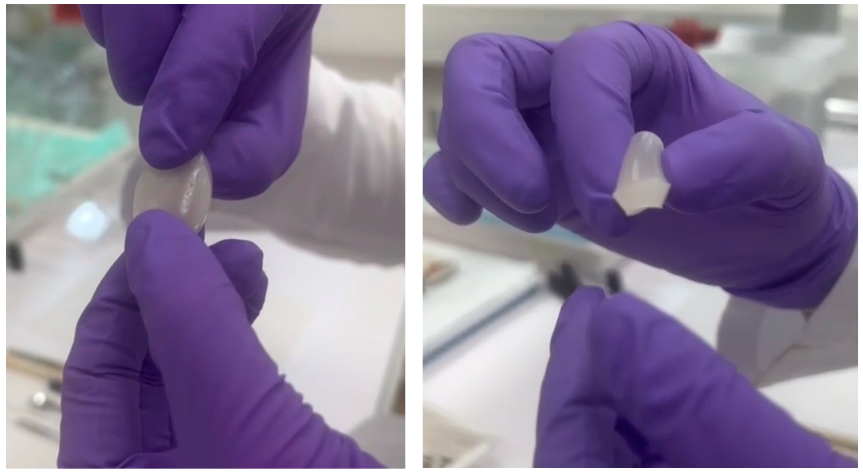 Gels 10 00294 g011