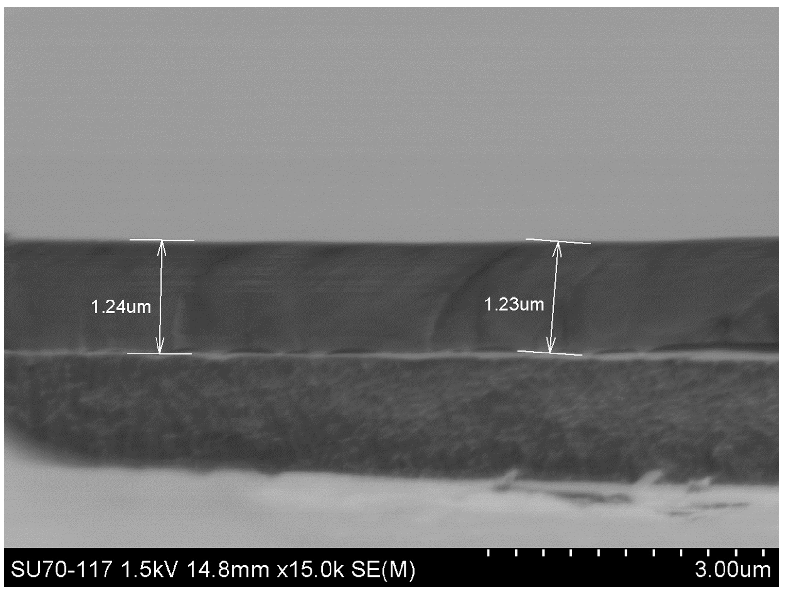 Gels 10 00315 g009 Gels 10 00315 g009