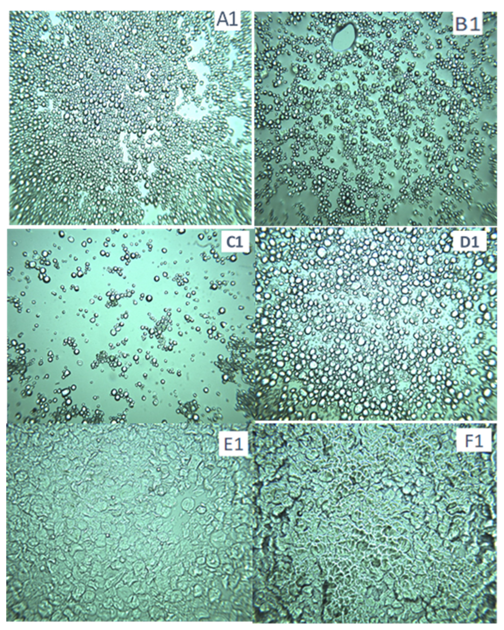 Gels 10 00350 g004 Gels 10 00350 g004
