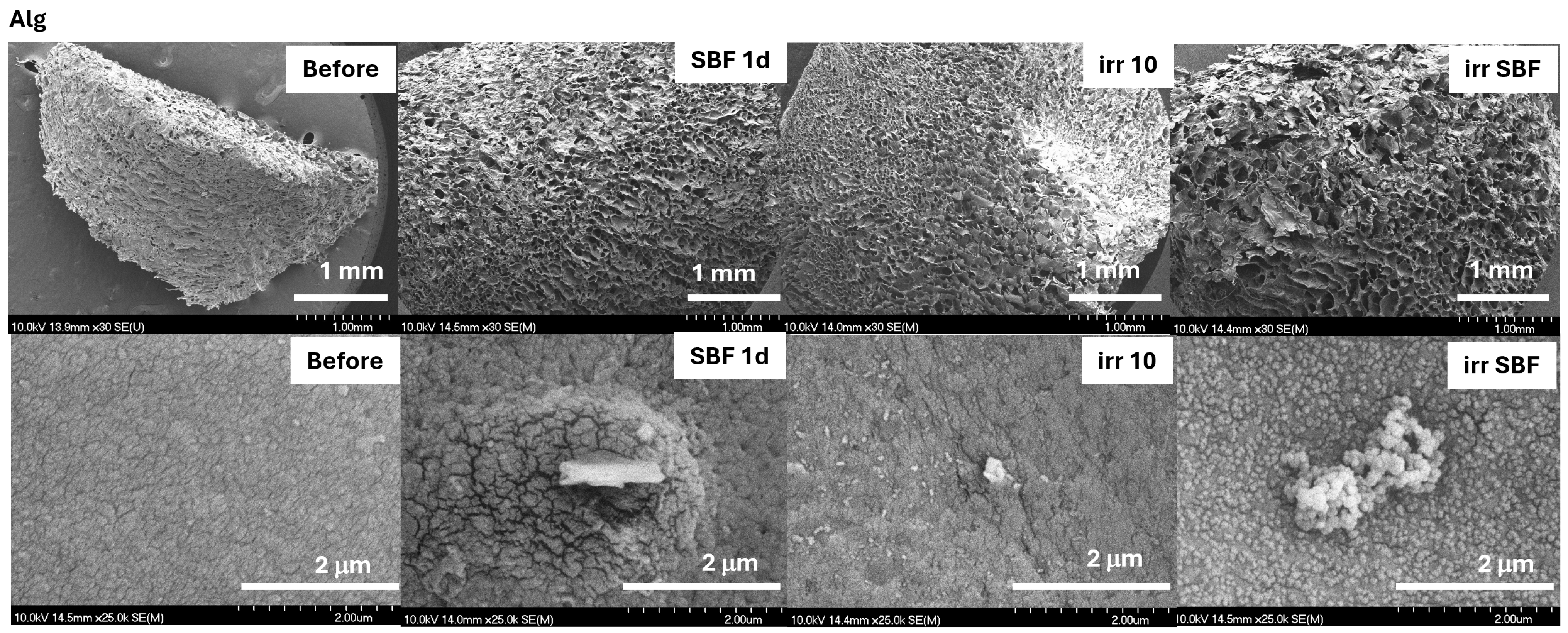 Gels 10 00358 g005 Gels 10 00358 g005