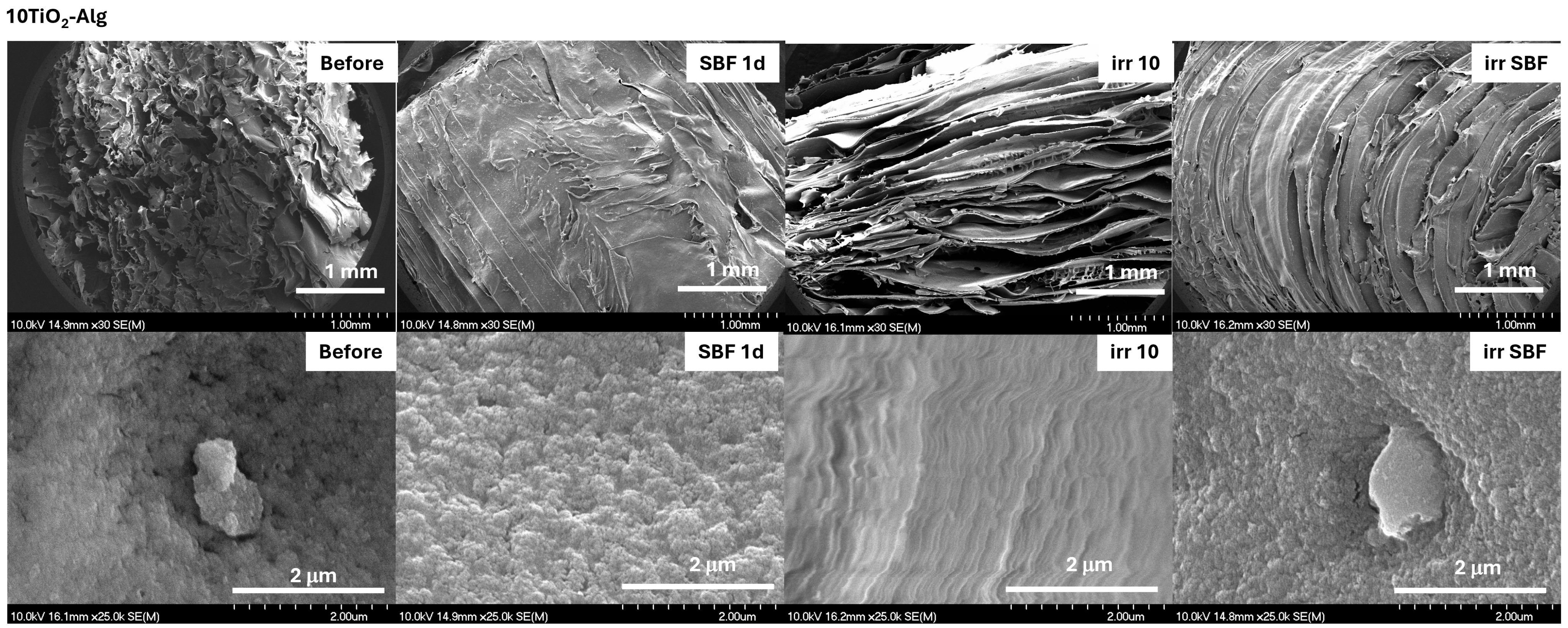 Gels 10 00358 g006 Gels 10 00358 g006