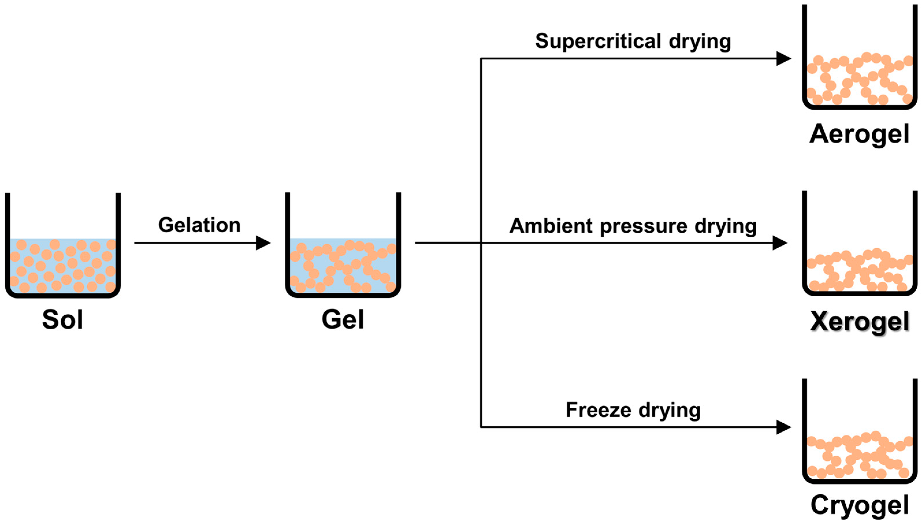 Gels 10 00400 g002 Gels 10 00400 g002
