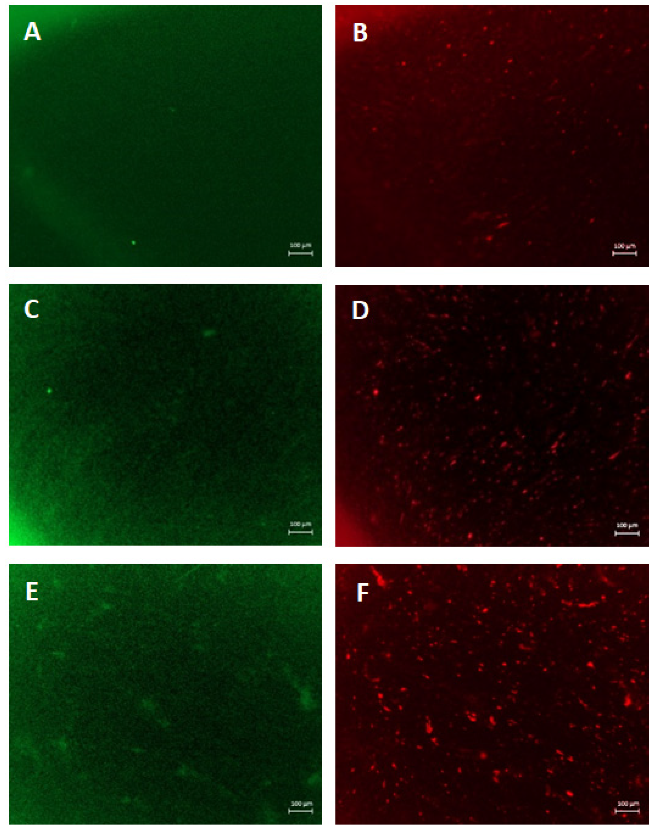 Gels 10 00412 g012 Gels 10 00412 g012