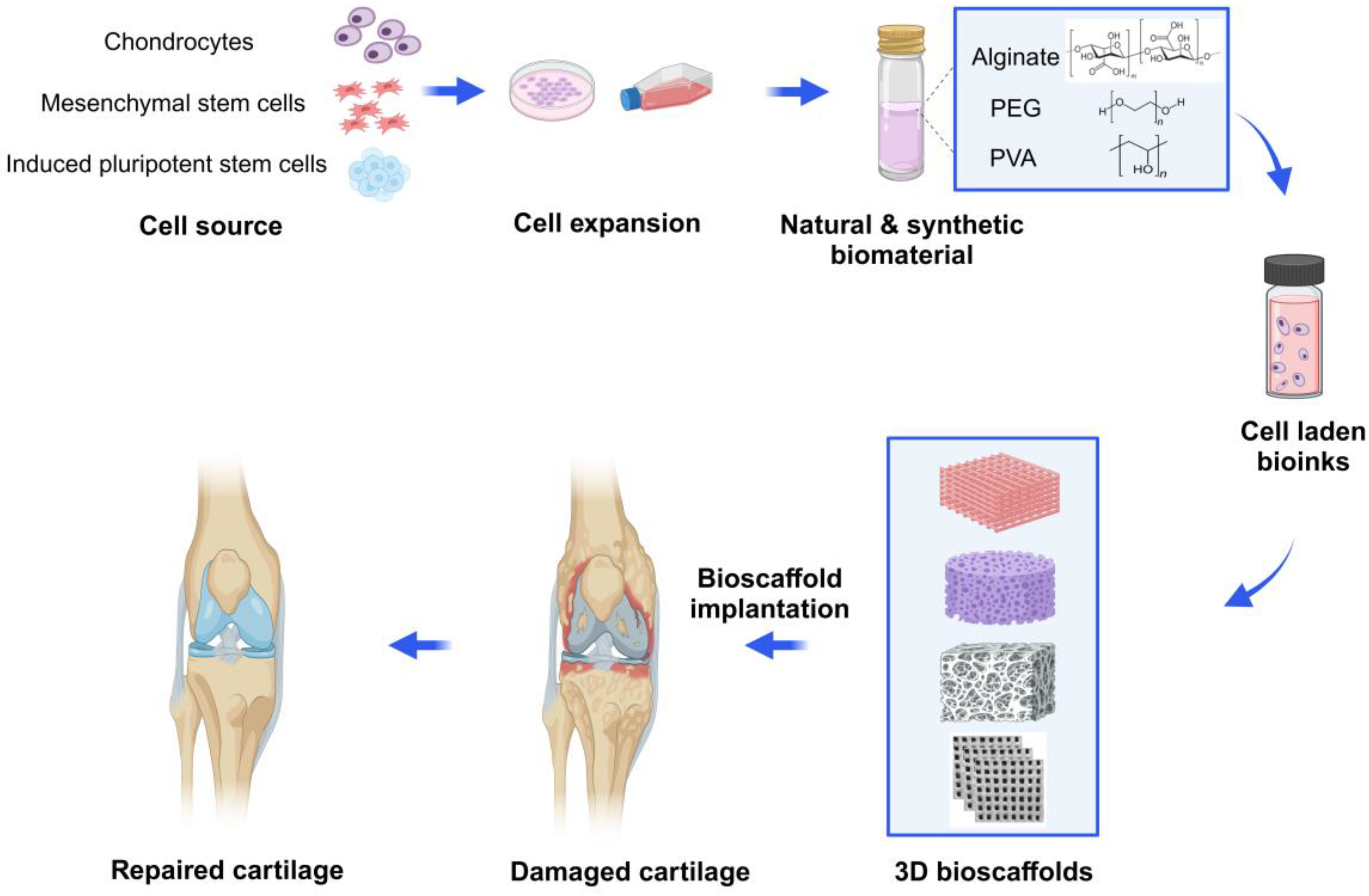 Gels 10 00430 g001 Gels 10 00430 g001