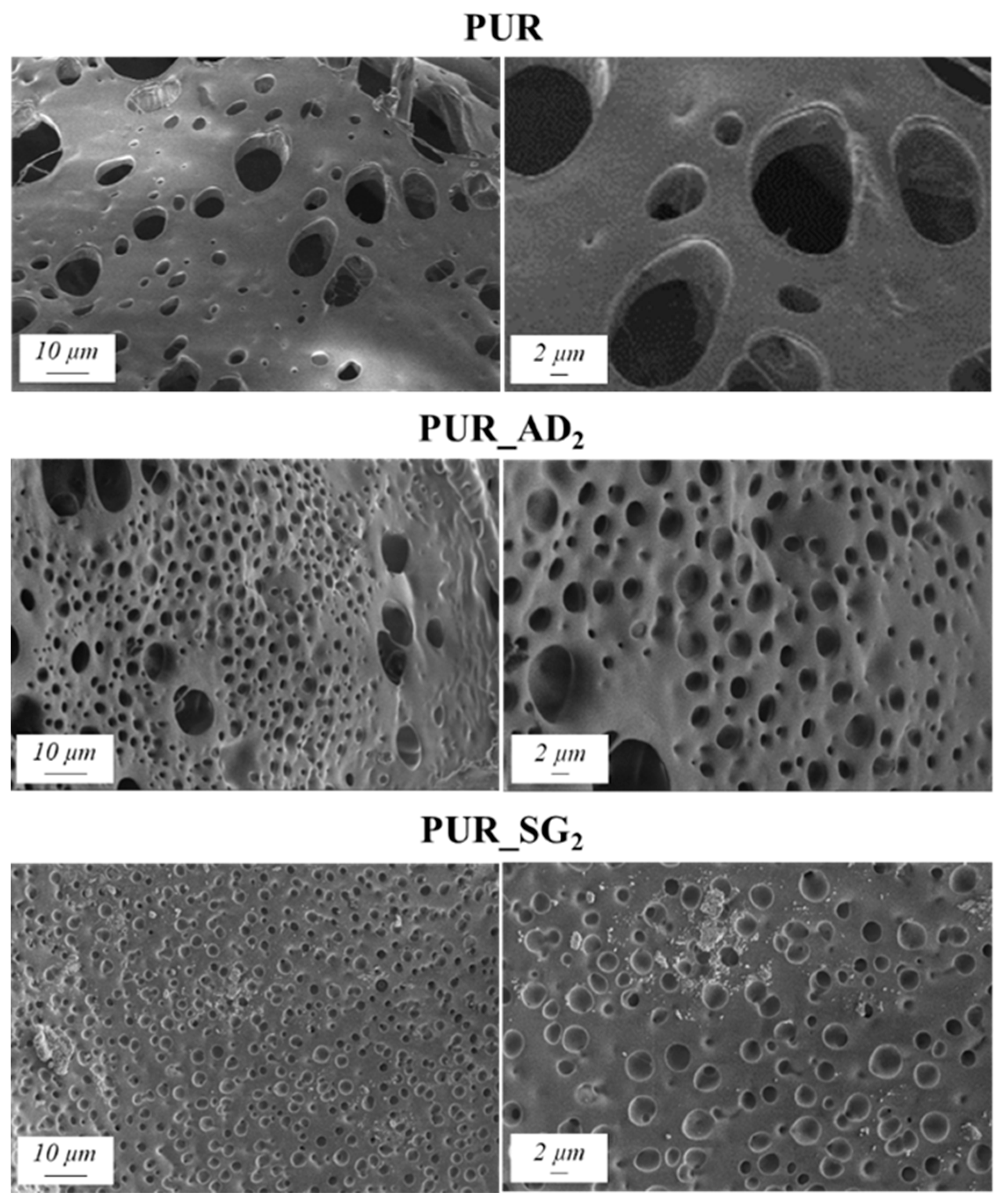 Gels 10 00465 g001 Gels 10 00465 g001