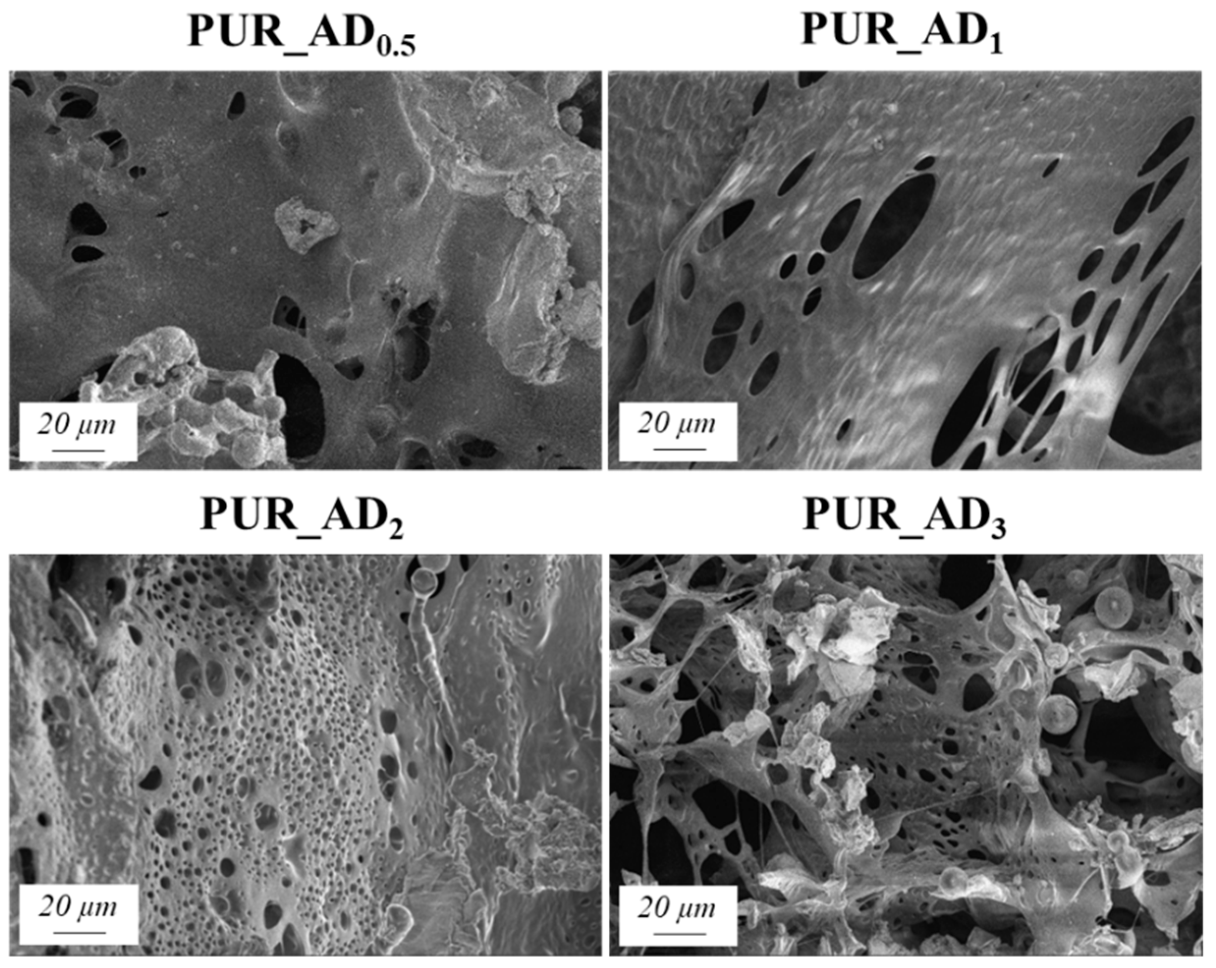 Gels 10 00465 g005 Gels 10 00465 g005