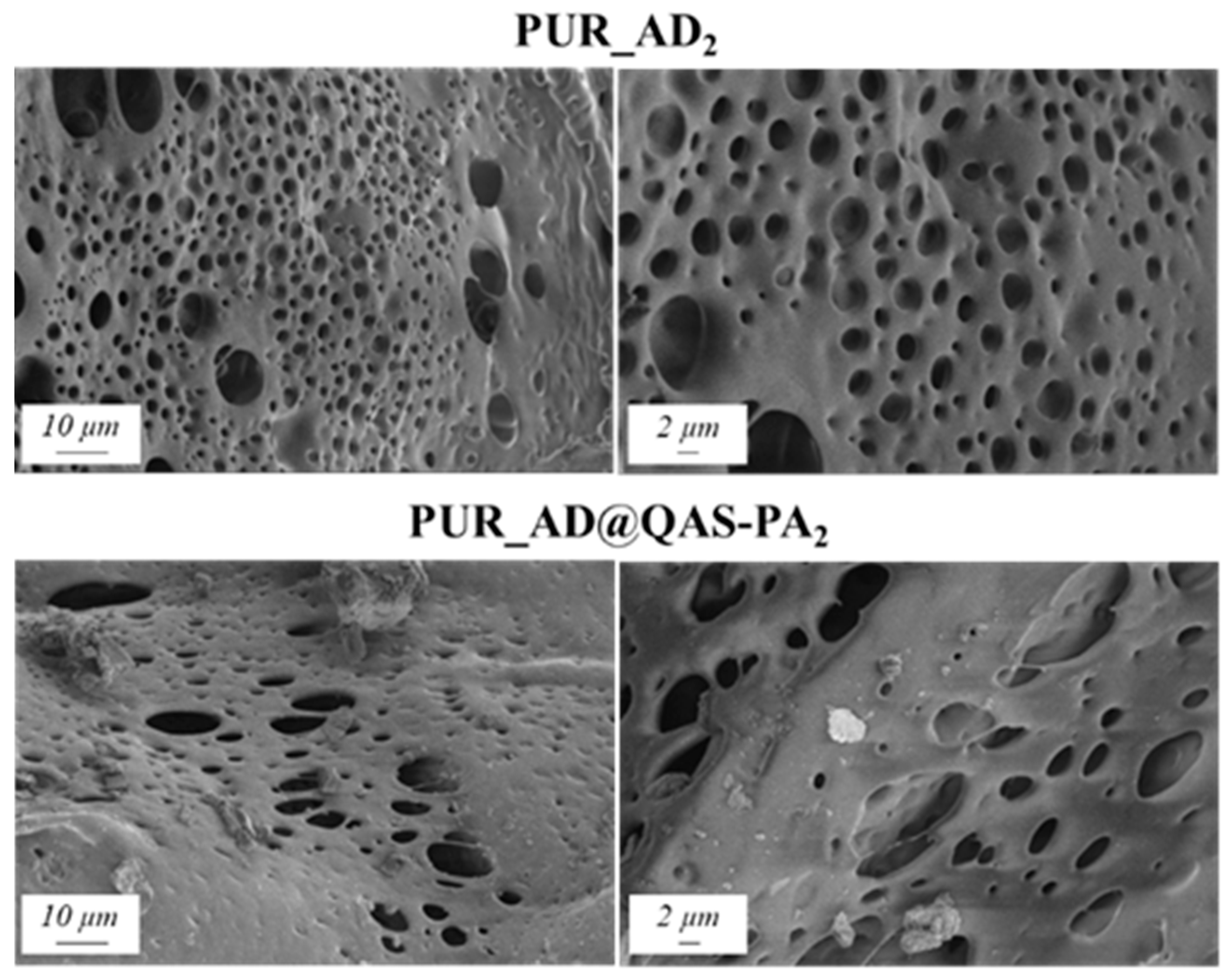 Gels 10 00465 g008 Gels 10 00465 g008