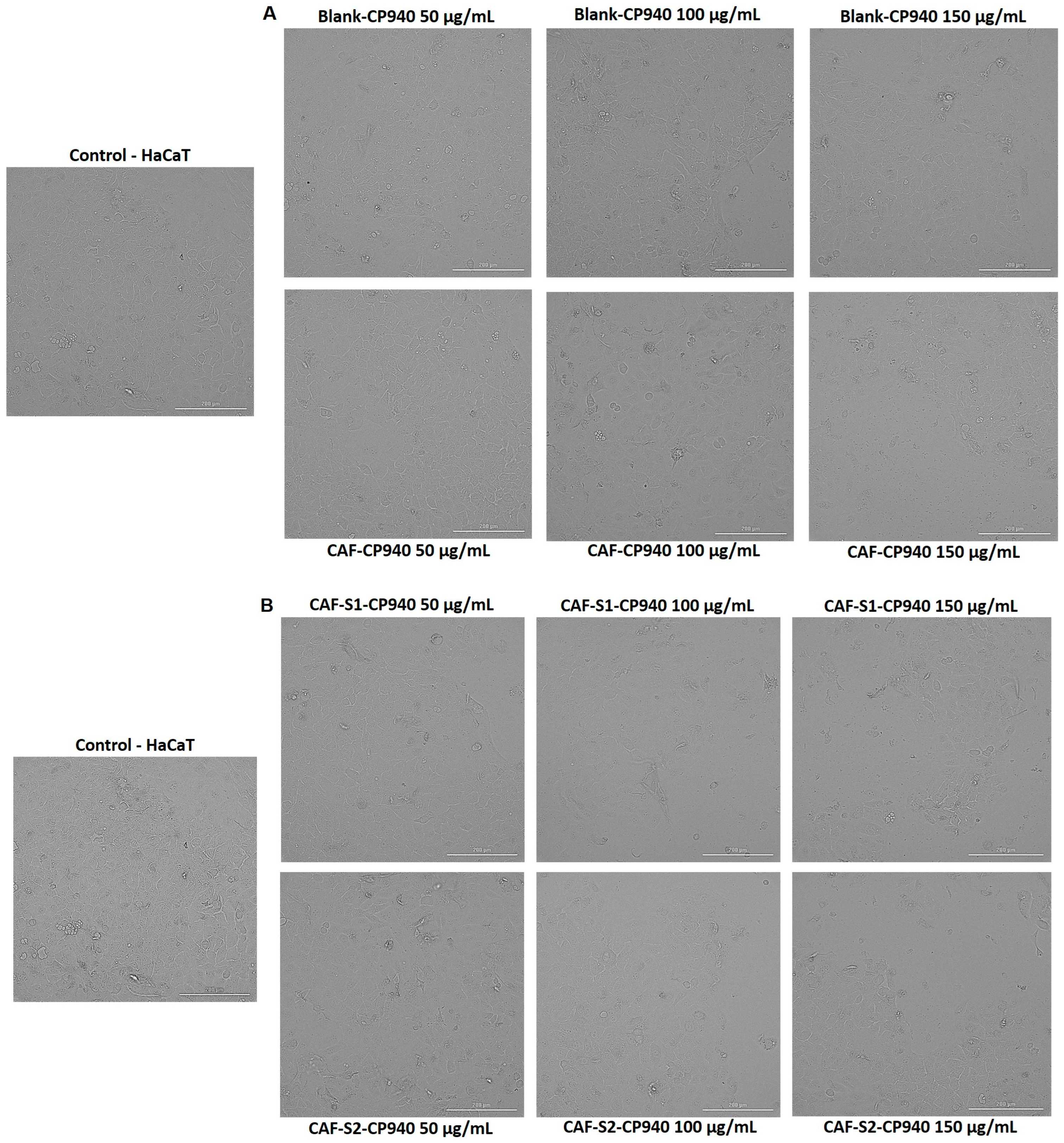 Gels 10 00477 g005 Gels 10 00477 g005
