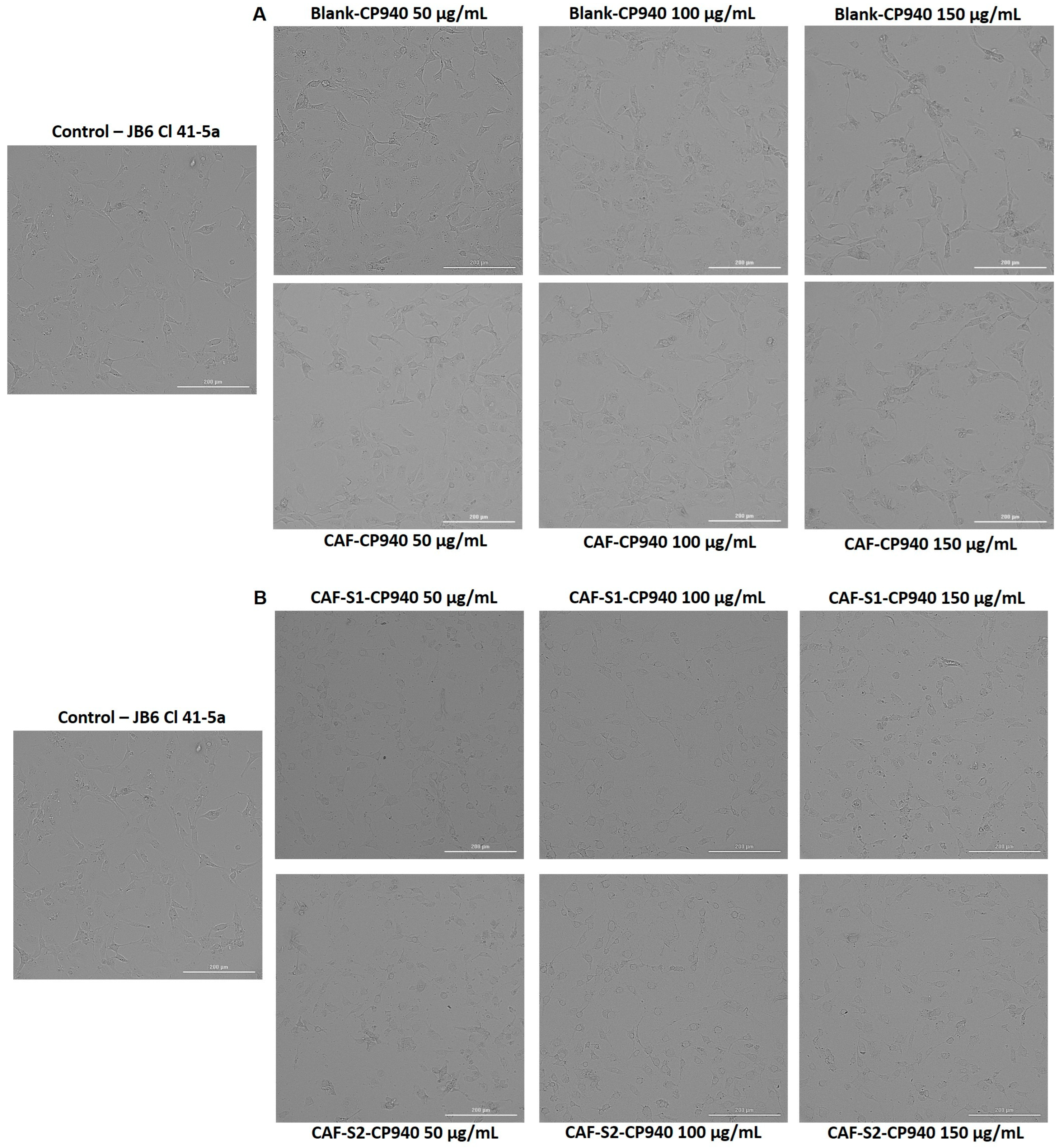 Gels 10 00477 g006 Gels 10 00477 g006