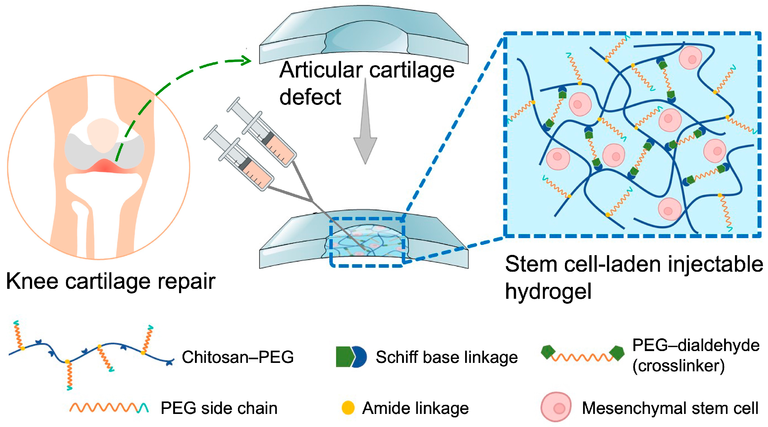 Gels 10 00508 sch001