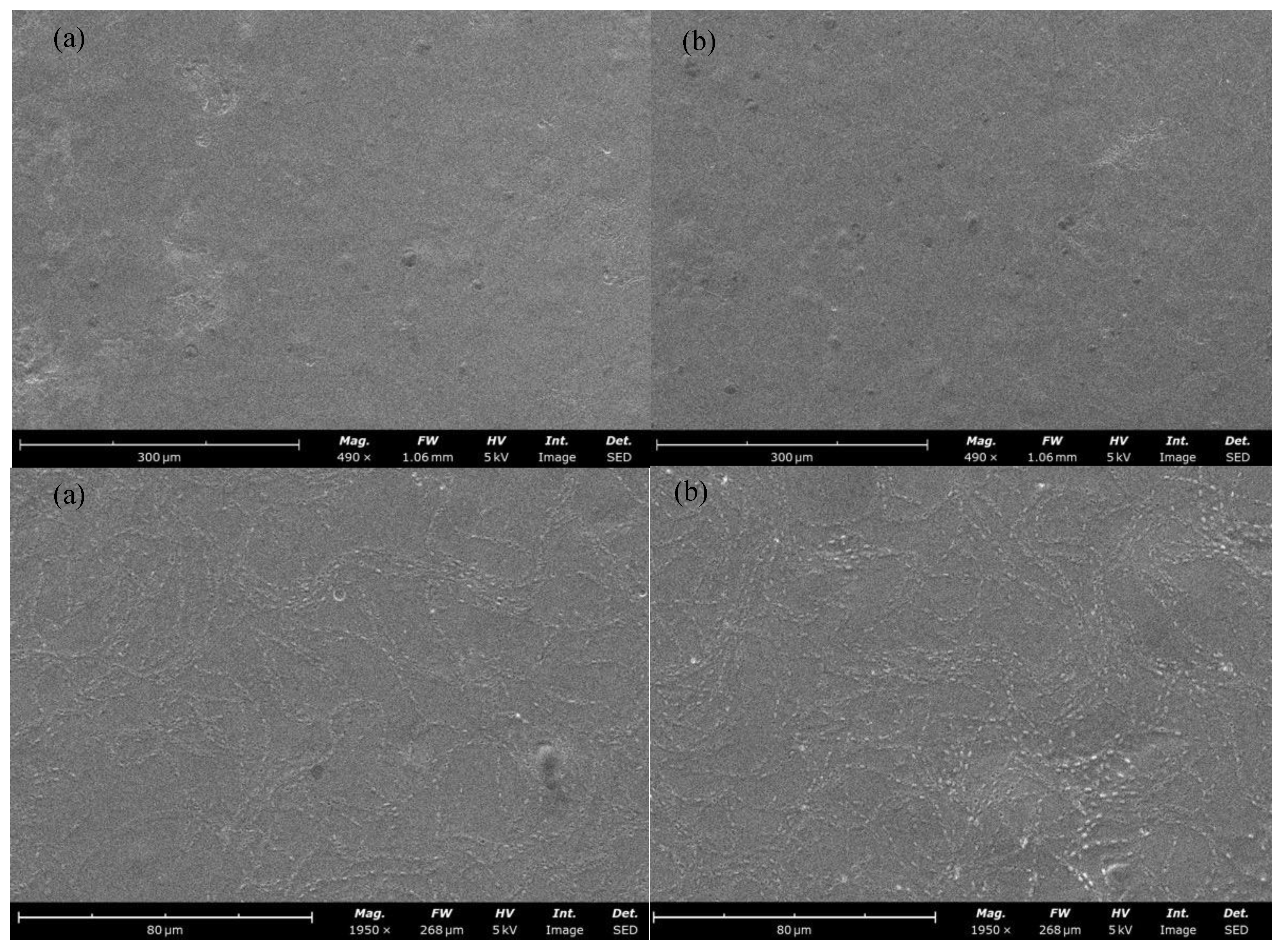 Gels 10 00549 g002 Gels 10 00549 g002