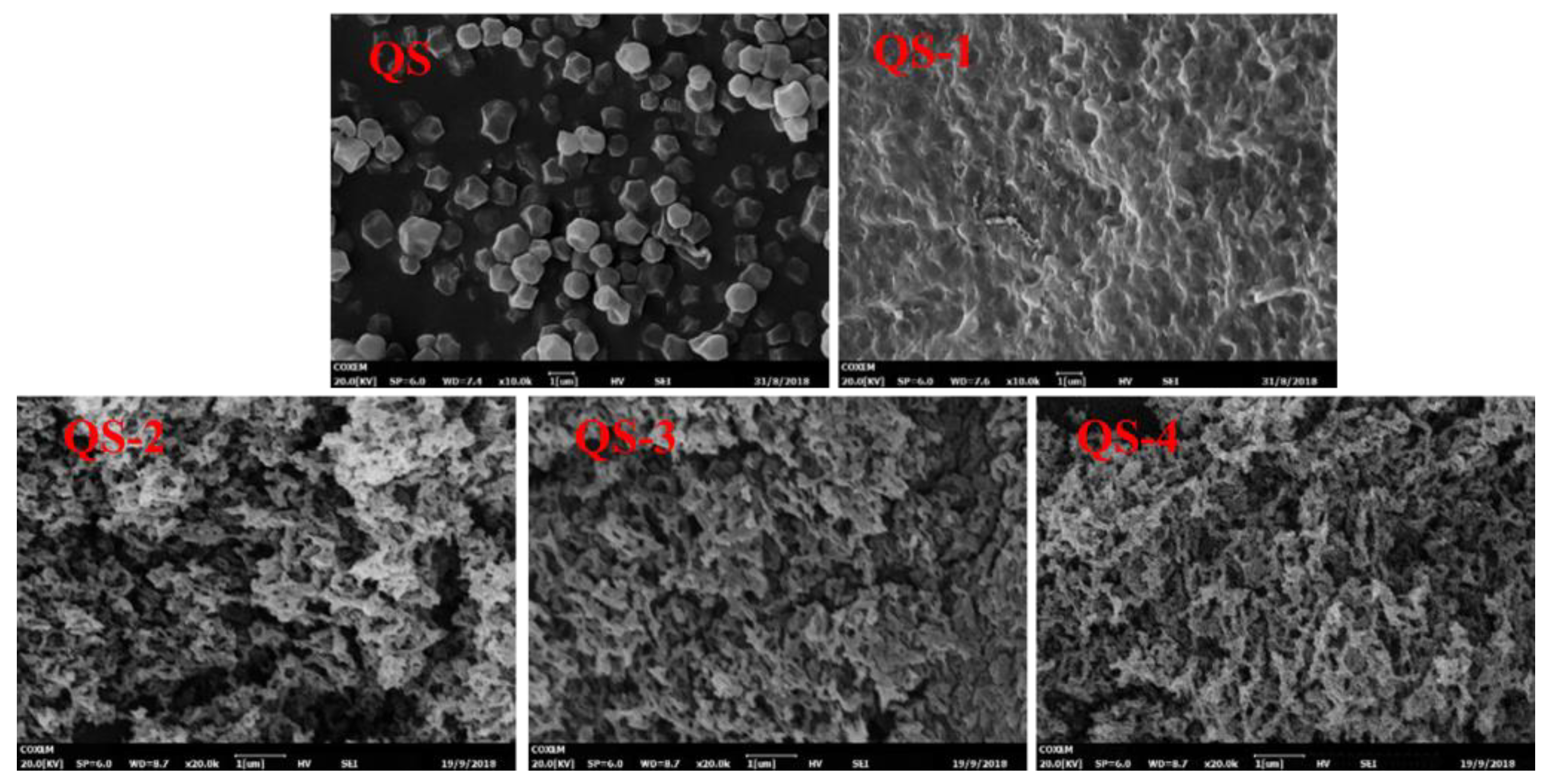 Gels 10 00559 g003 Gels 10 00559 g003