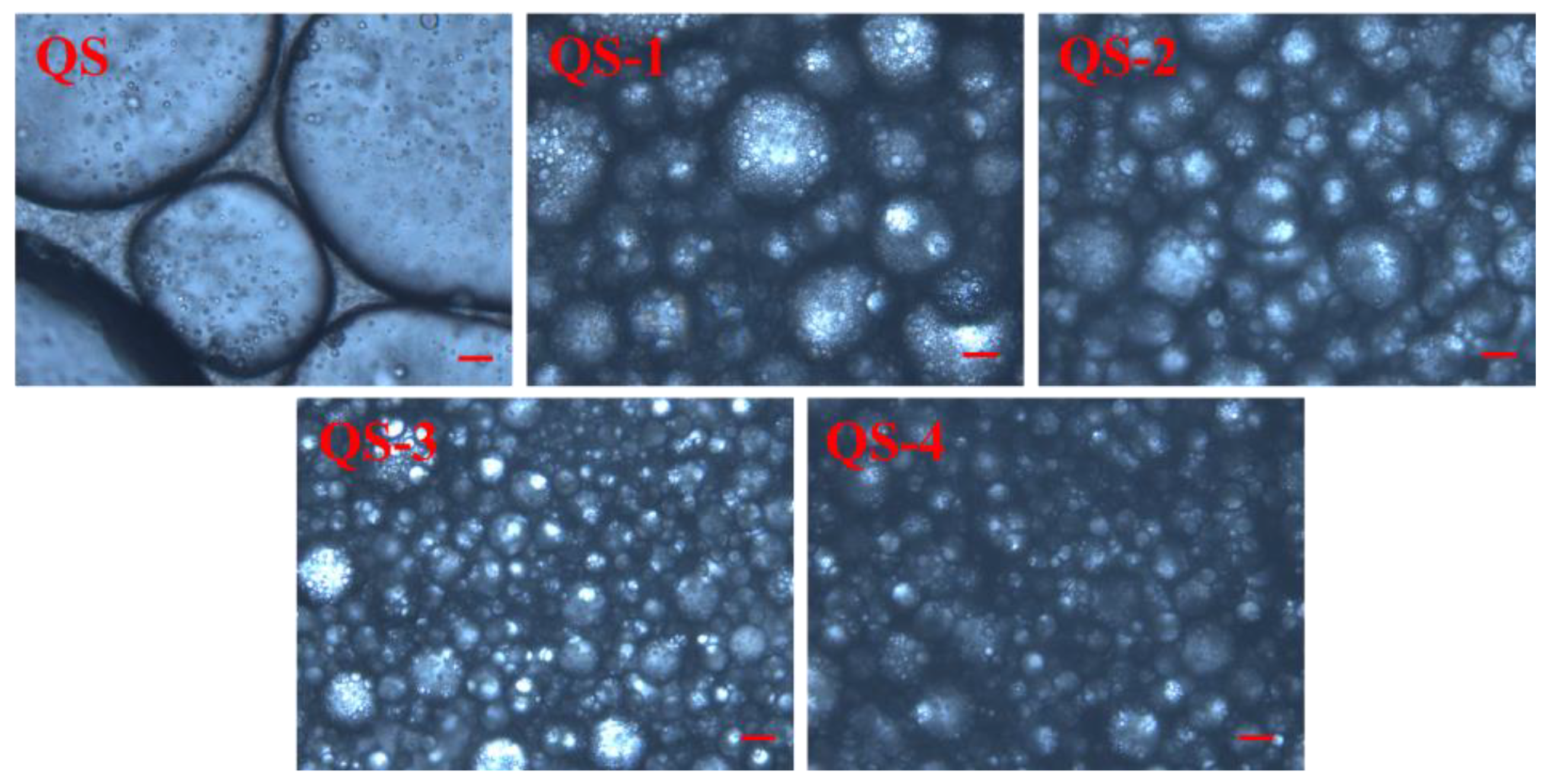 Gels 10 00559 g008 Gels 10 00559 g008