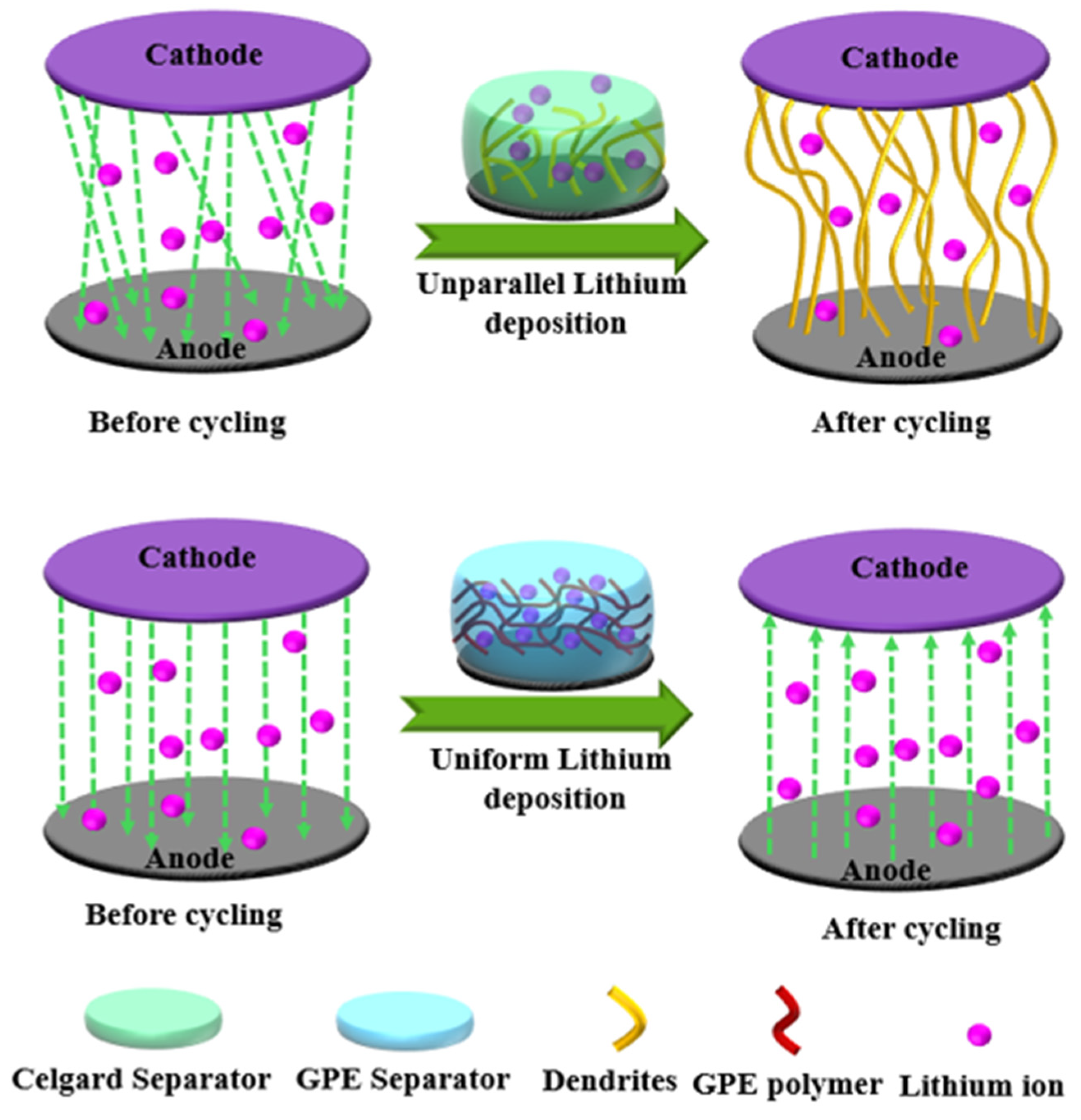 Gels 10 00563 sch004