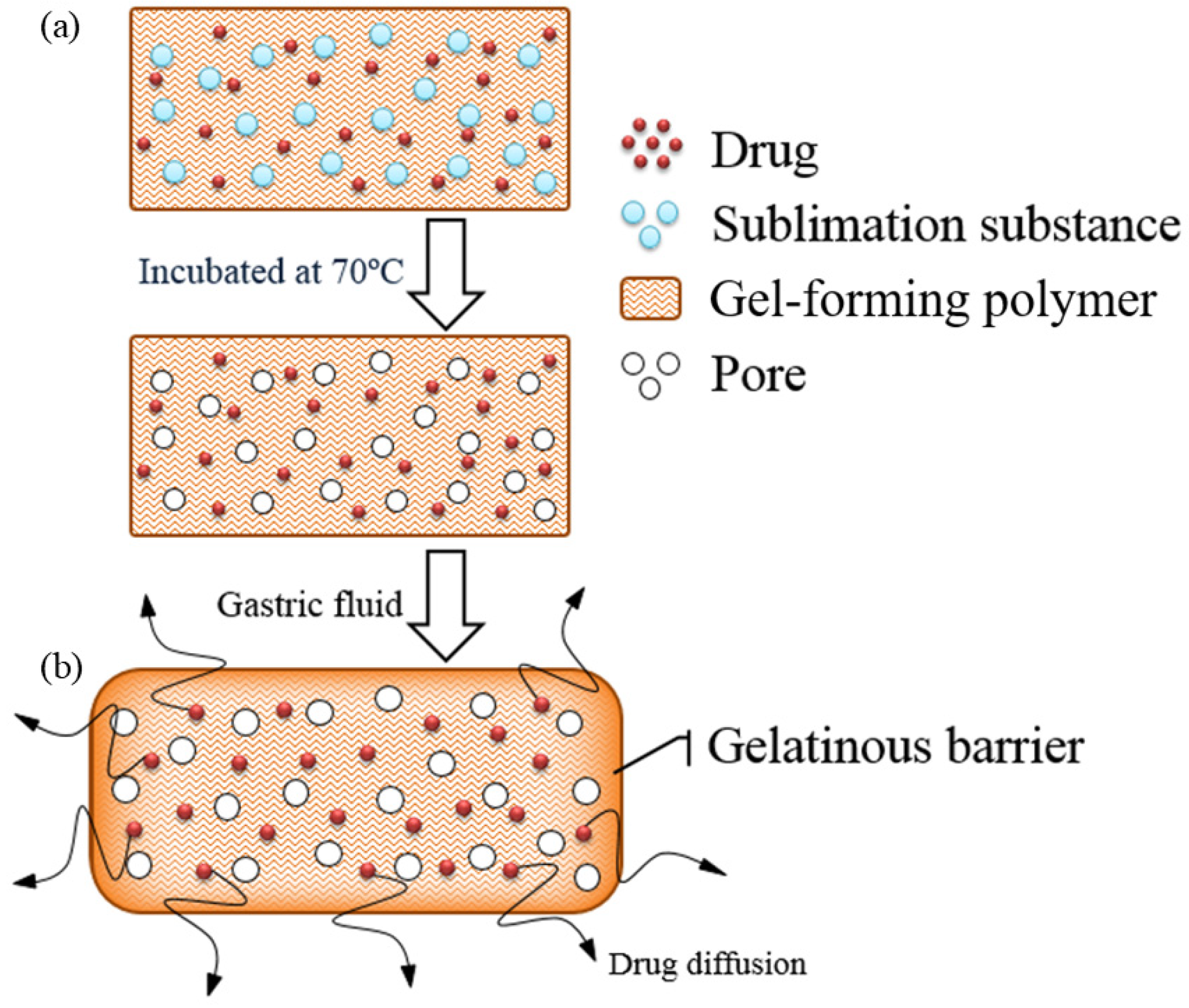 Gels 10 00581 g001 Gels 10 00581 g001