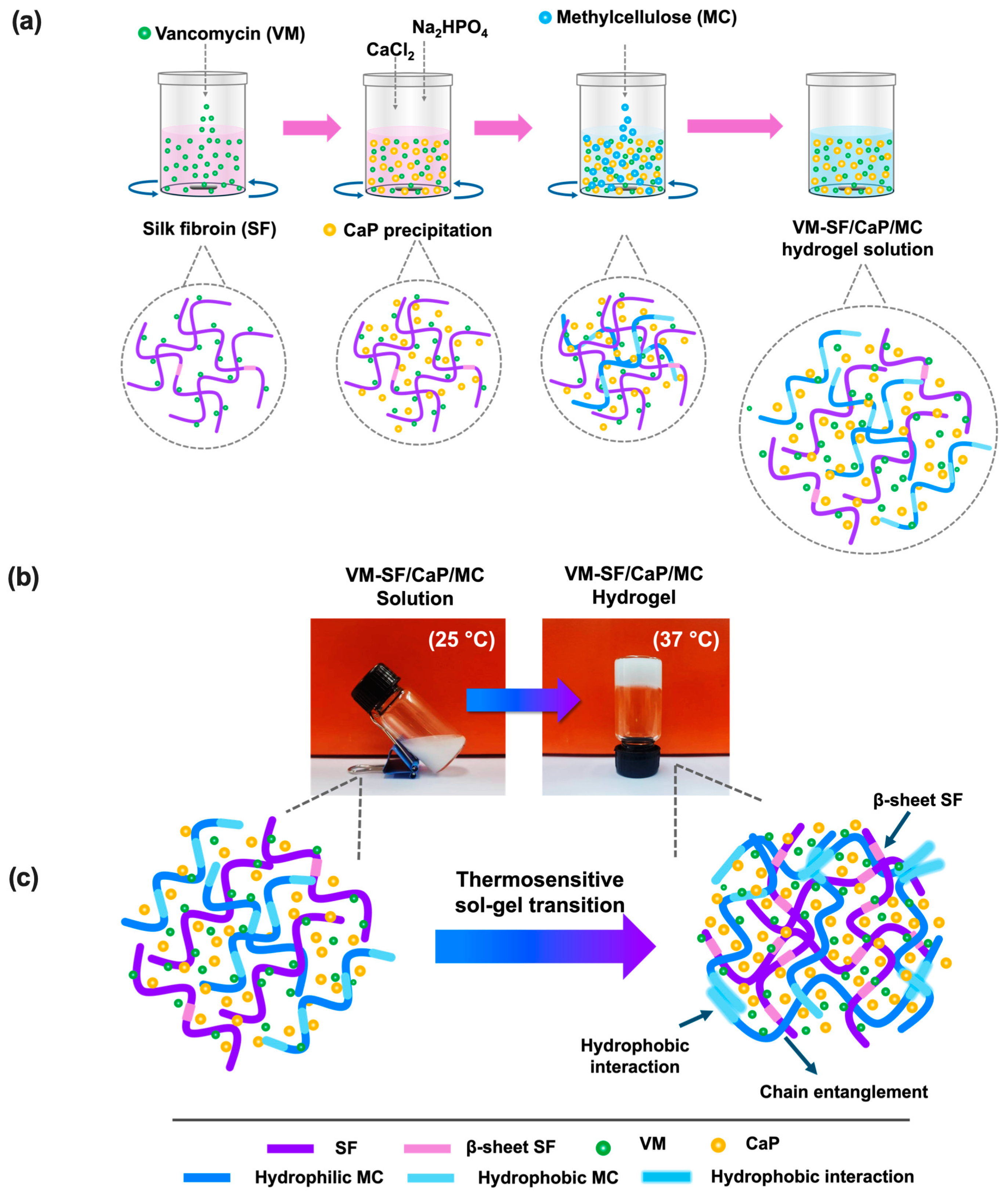 Gels 10 00695 sch001