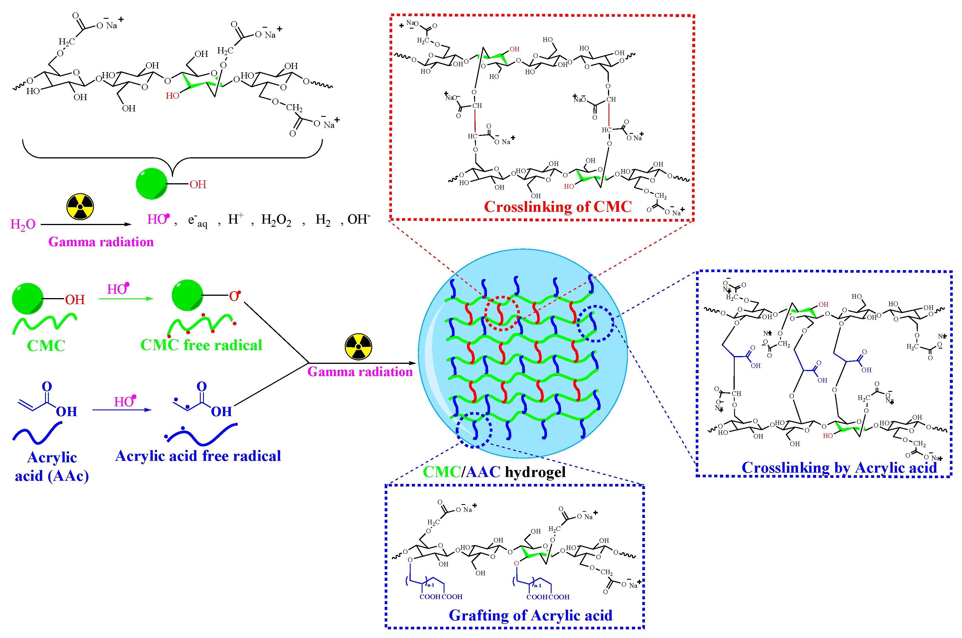 Gels 10 00785 sch001