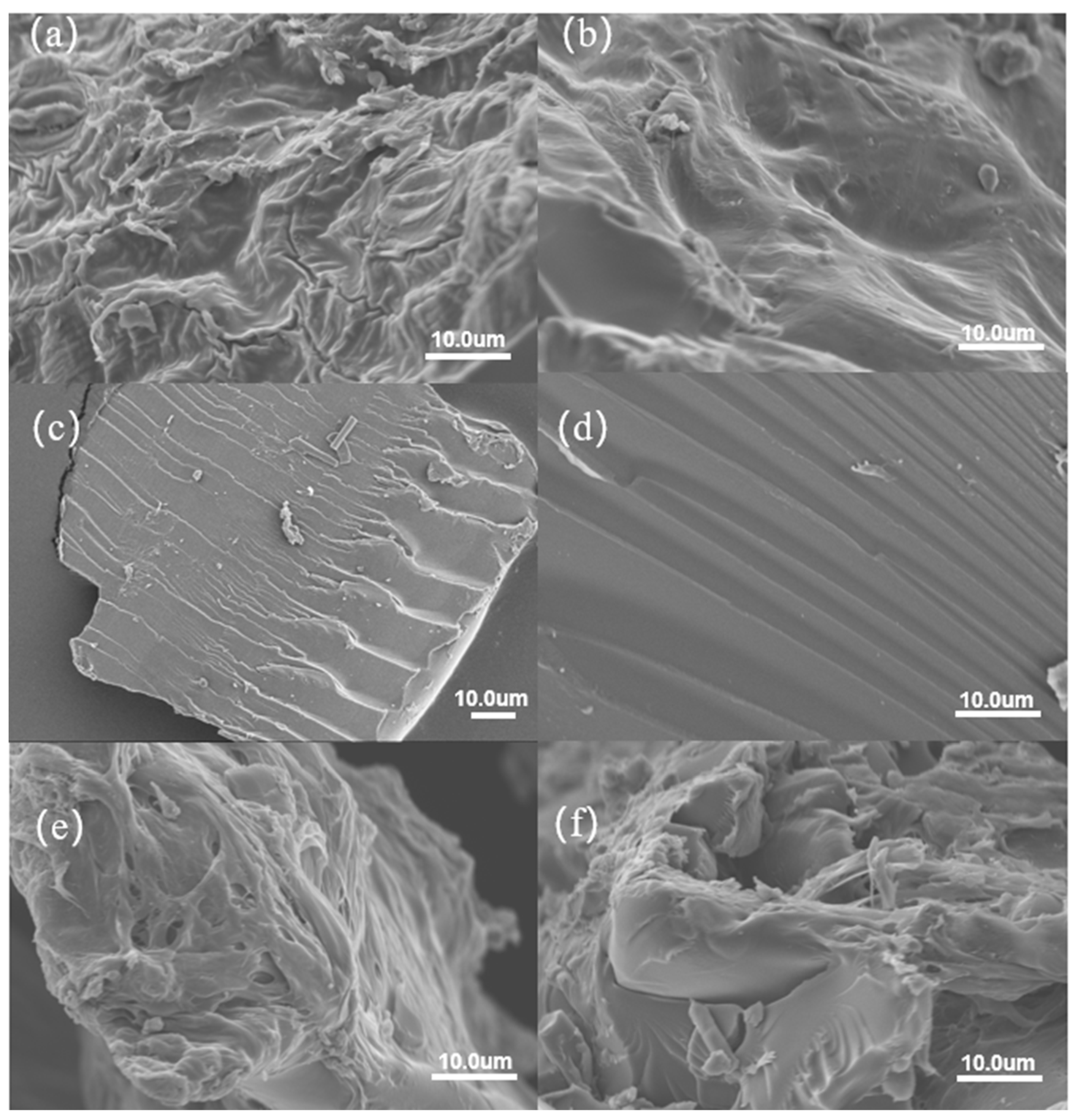 Gels 10 00833 g004