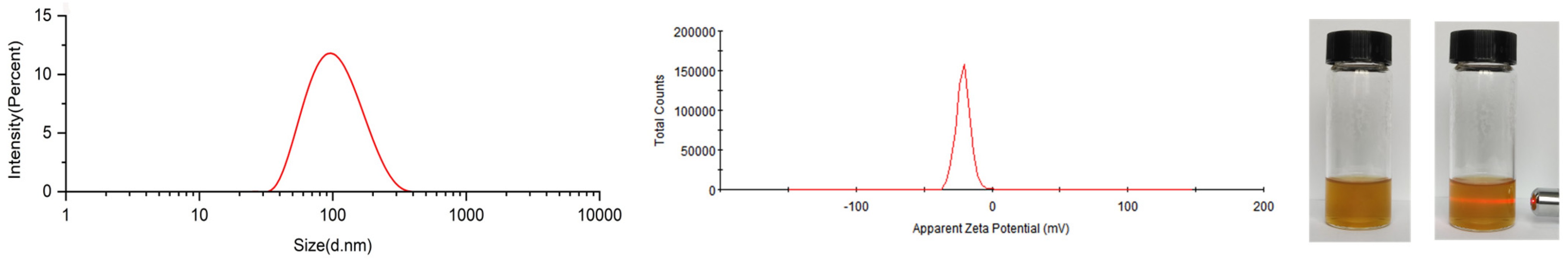 Gels 11 00073 g006 Gels 11 00073 g006