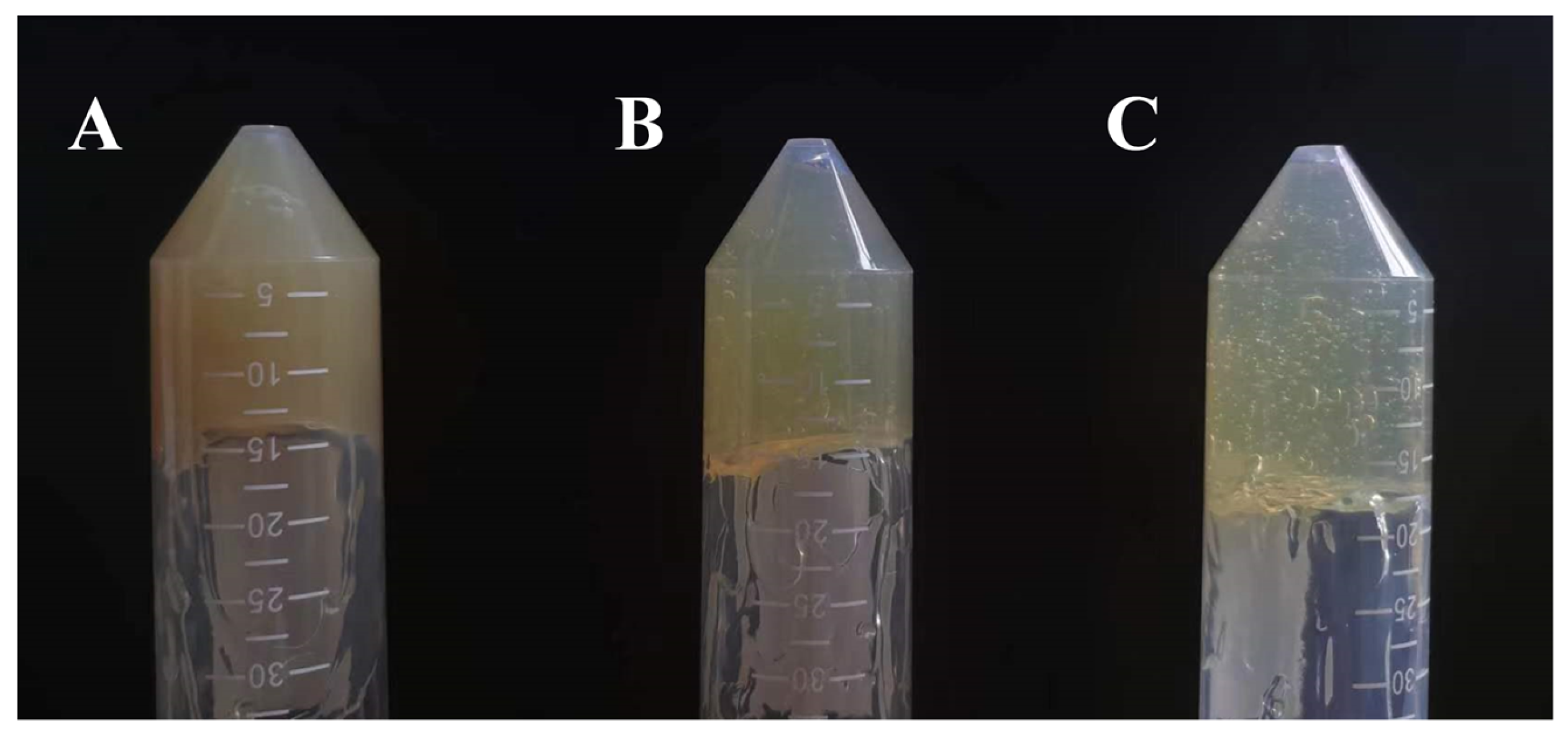 Gels 11 00073 g009 Gels 11 00073 g009