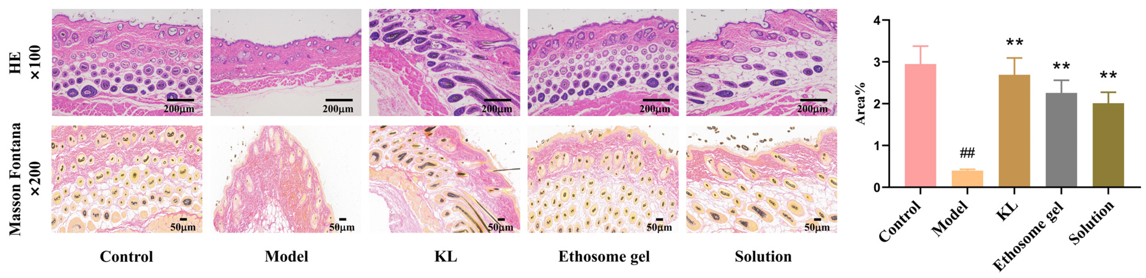 Gels 11 00073 g012 Gels 11 00073 g012