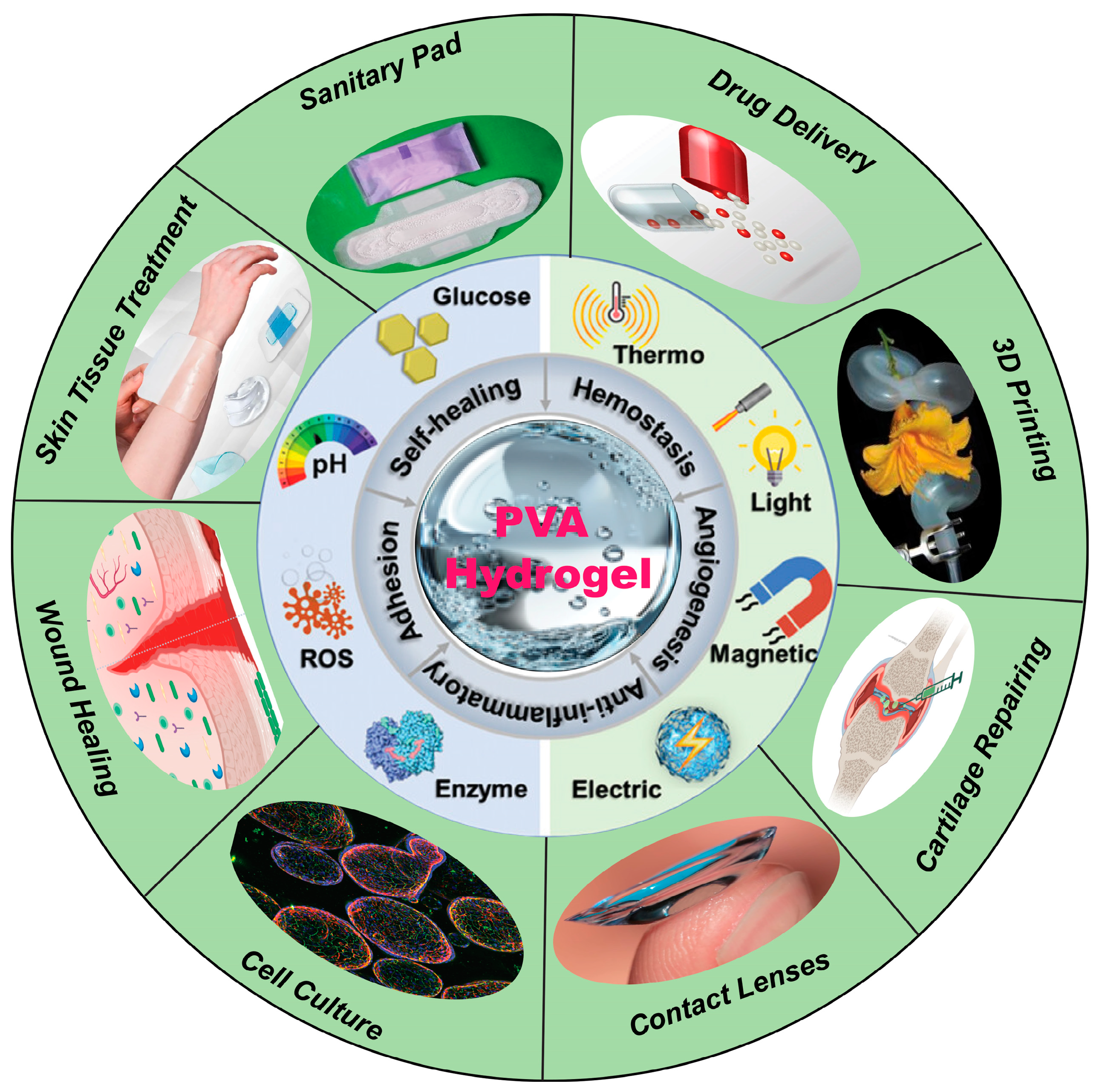 Gels 11 00088 sch001